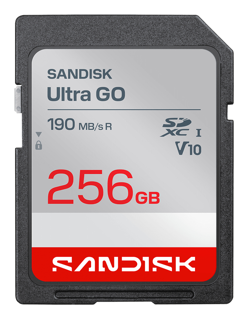 SanDisk Ultra GO - Flash-Speicherkarte - 256