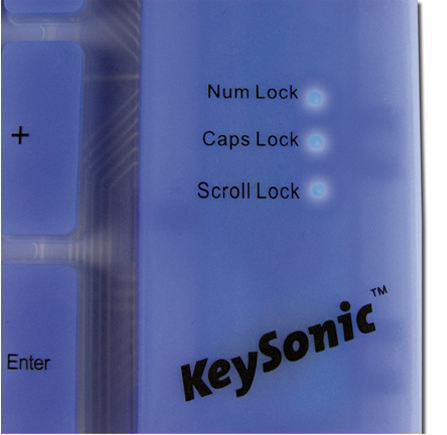 KeySonic ACK-109 BL, Full-size (100%), Verkabelt, USB + PS/2, QWERTZ, Blau