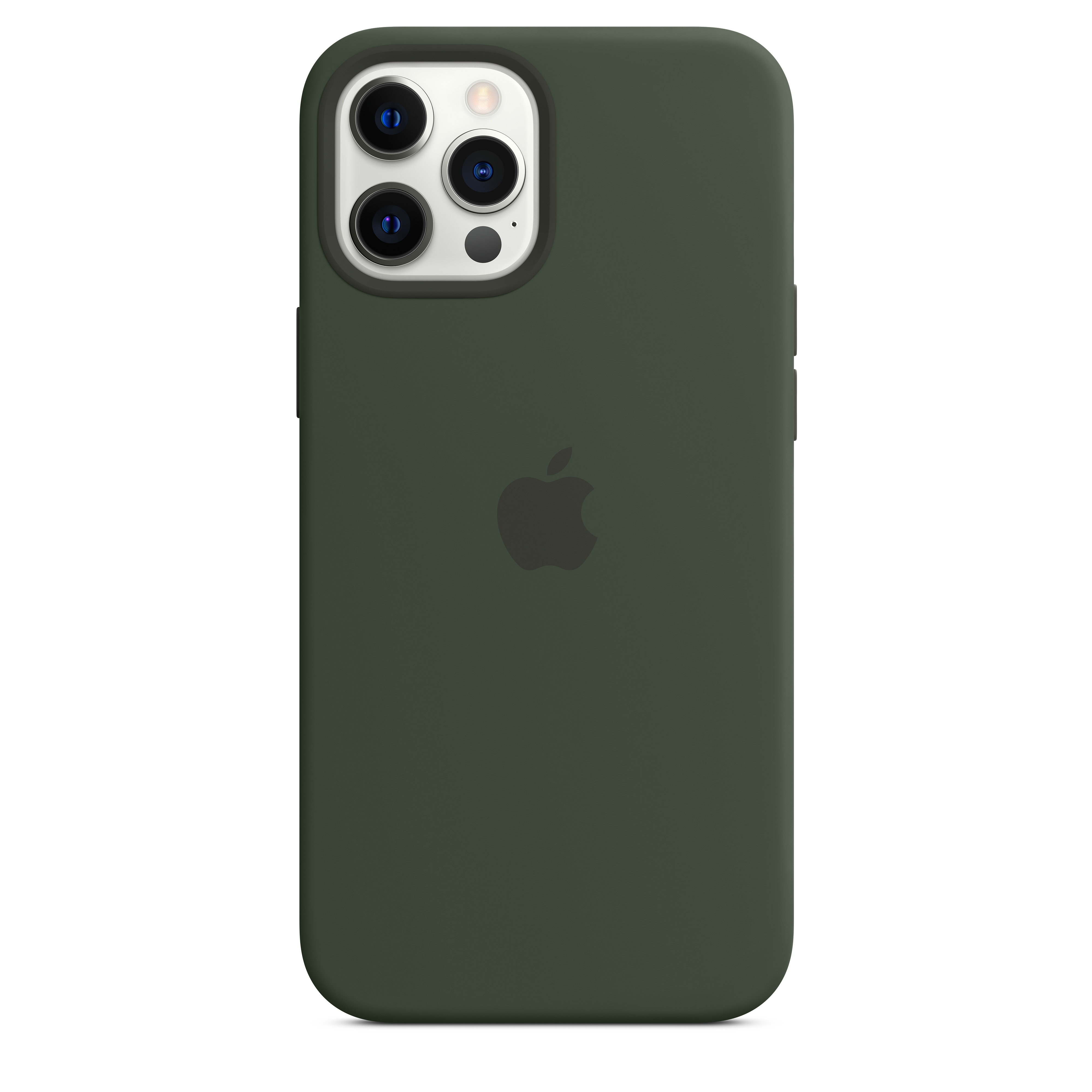 Apple MHLC3ZM/A, Cover, Apple, iPhone 12 Pro Max, 17 cm (6.7 Zoll), Grün