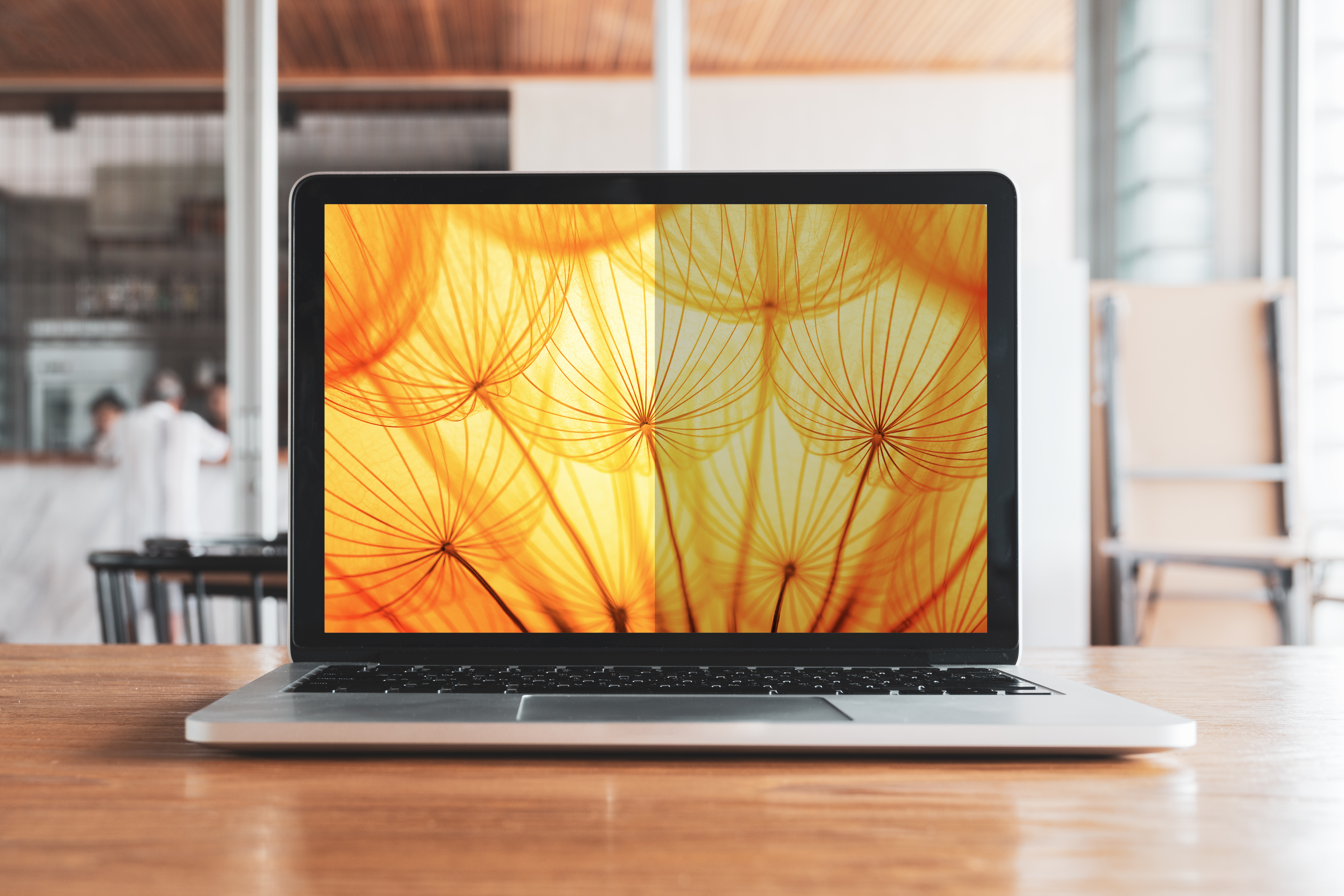 3M Blickschutzfilter für Notebook - heller Bildschirm, 16:10 - klebend - 40.6 cm (16")