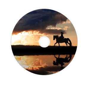 Verbatim 50 x DVD+R DL - 8.5 GB 8x - mit Tintenstrahldrucker