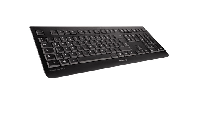 Cherry DW 3000 - Tastatur-und-Maus-Set - kabellos