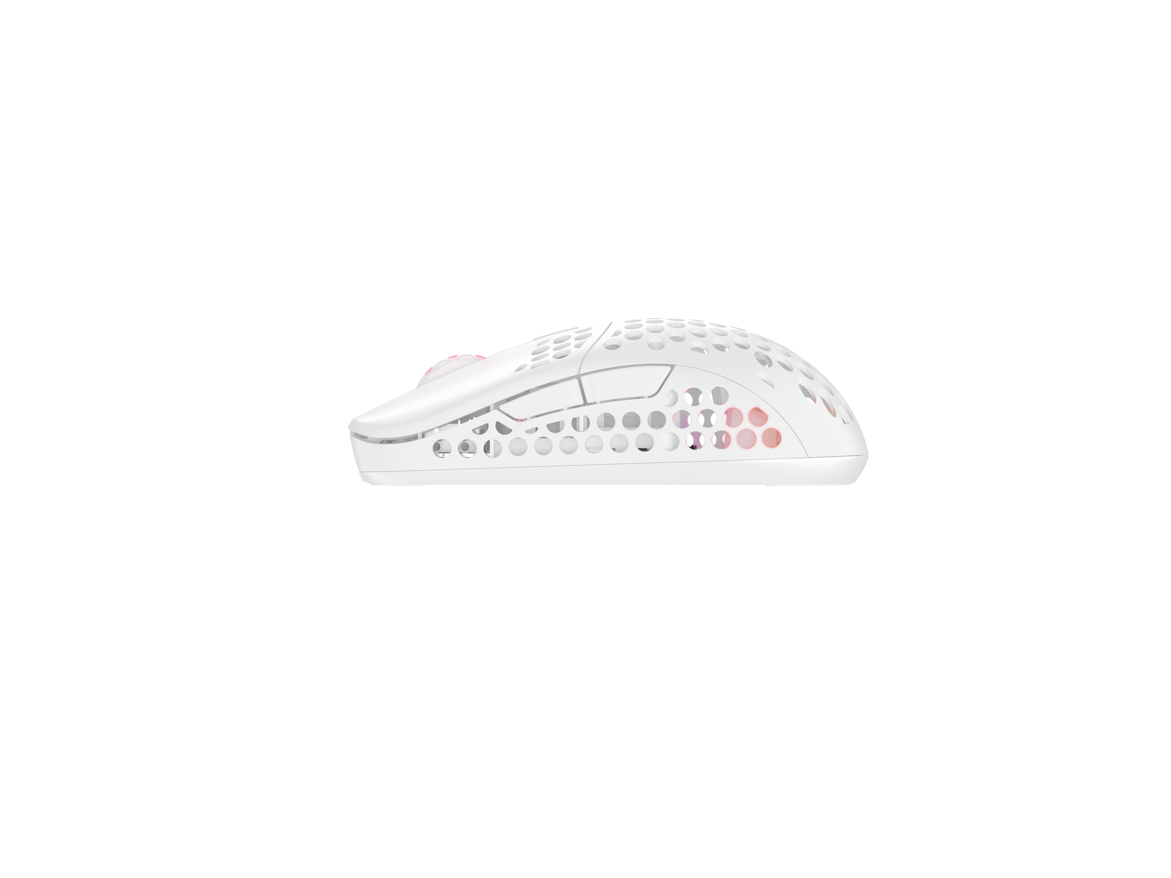 Cherry Xtrfy M42 - Maus - optisch - kabellos - 2.4 GHz - kabelloser Empfänger (USB)