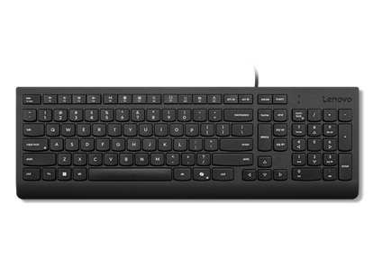 Lenovo Essential - Tastatur - USB - QWERTY - Dänisch