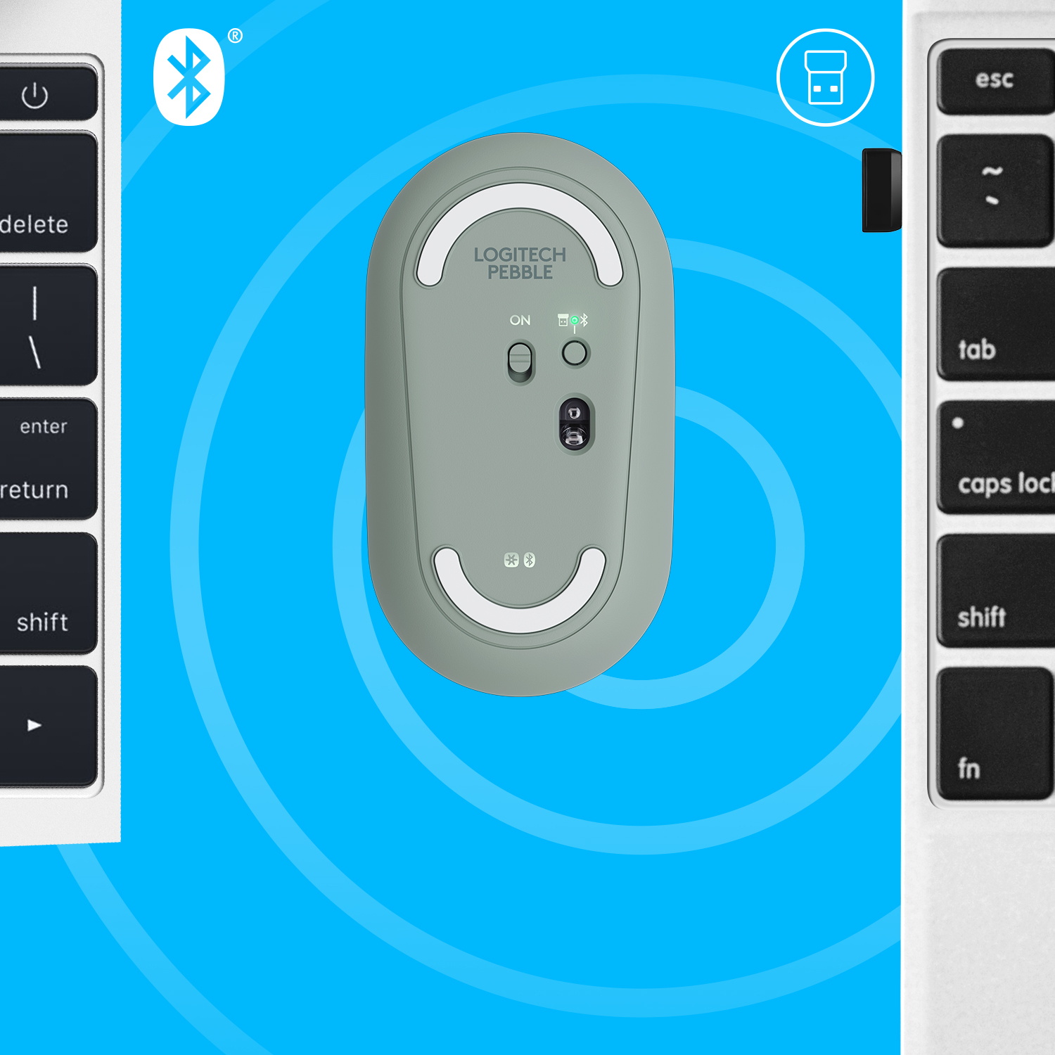 Logitech Pebble M350 - Maus - optisch - 3 Tasten - kabellos - Bluetooth, 2.4 GHz - kabelloser Empfän