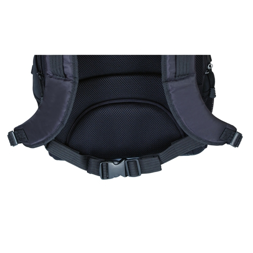 Targus Campus Backpack - Notebook-Rucksack - 40.6 cm (16")
