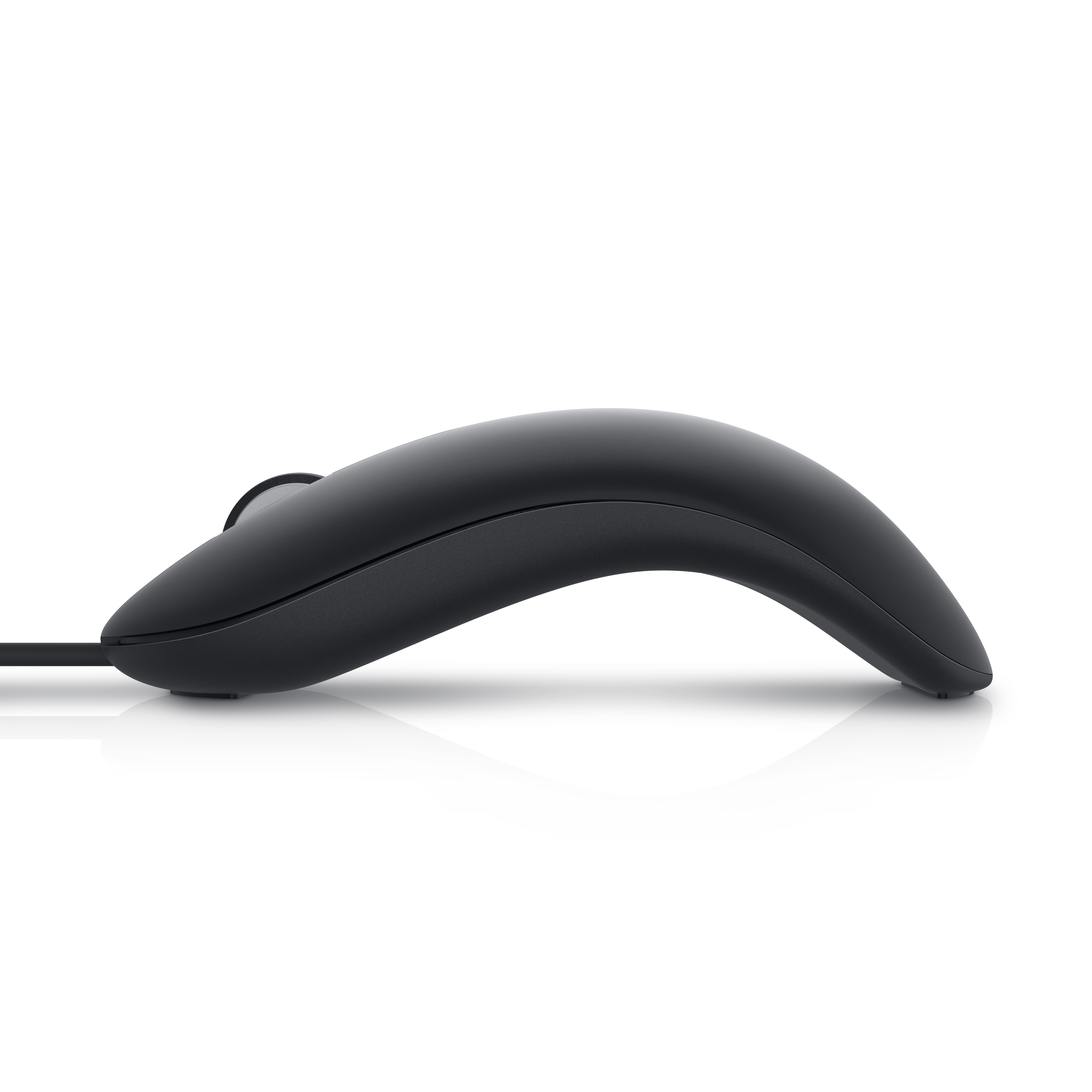 Dell MS819, Beidhändig, Optisch, USB Typ-A, 1000 DPI, Schwarz