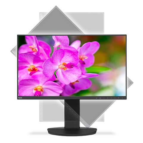 NEC Display MultiSync EA241F-BK - LED-Monitor - 60.96 cm (24")