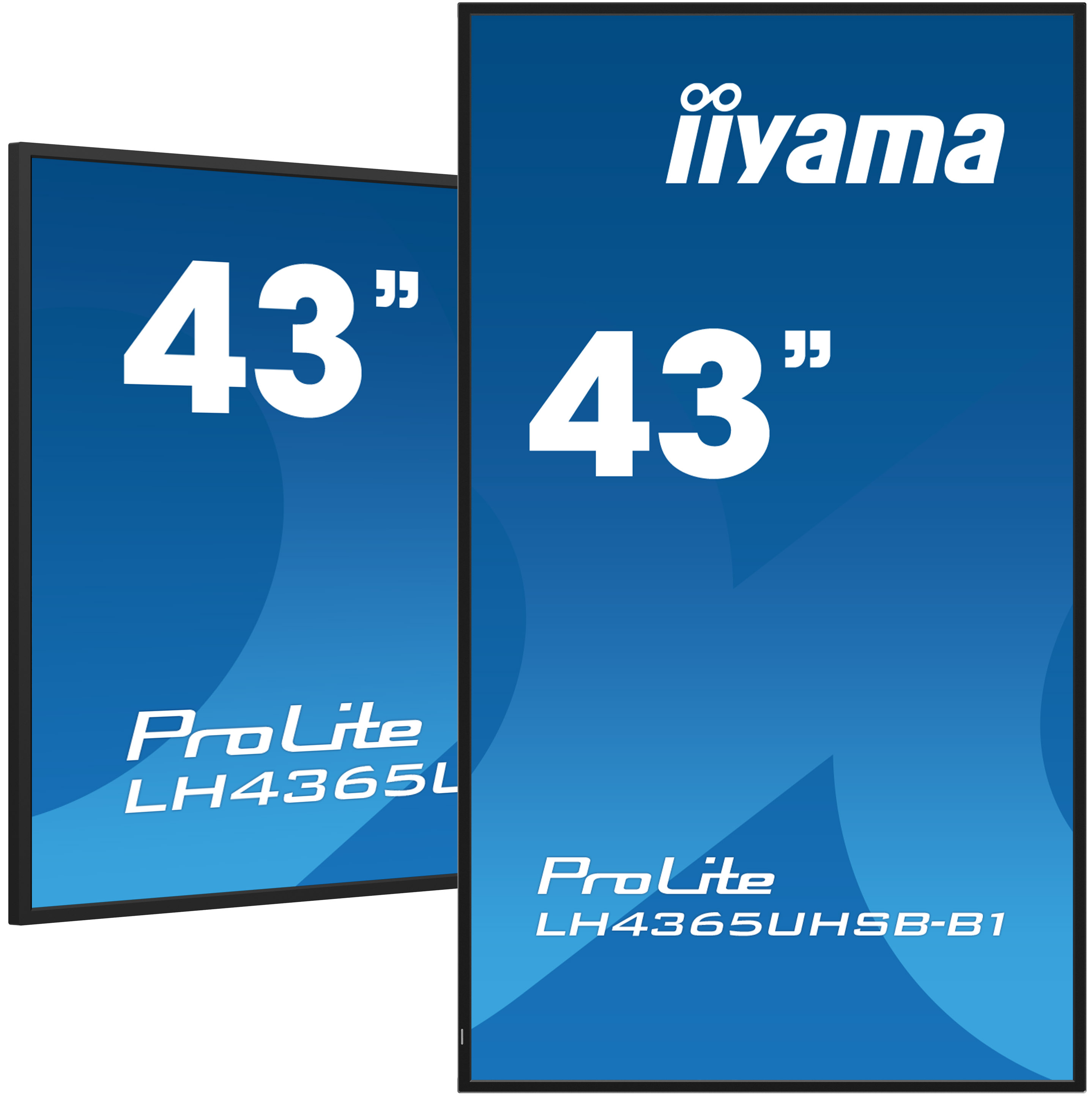 Iiyama ProLite LH4365UHSB-B1 - 109 cm (43") Diagonalklasse (108 cm (42.5")