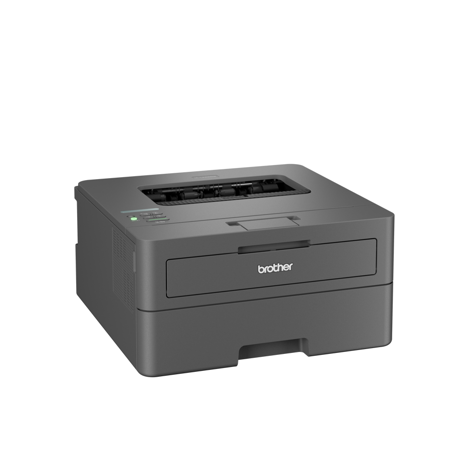 Brother HL-L2400DWE - Drucker - s/w - Duplex