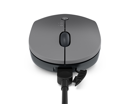 Lenovo Go Multi-device - Maus - optisch blau