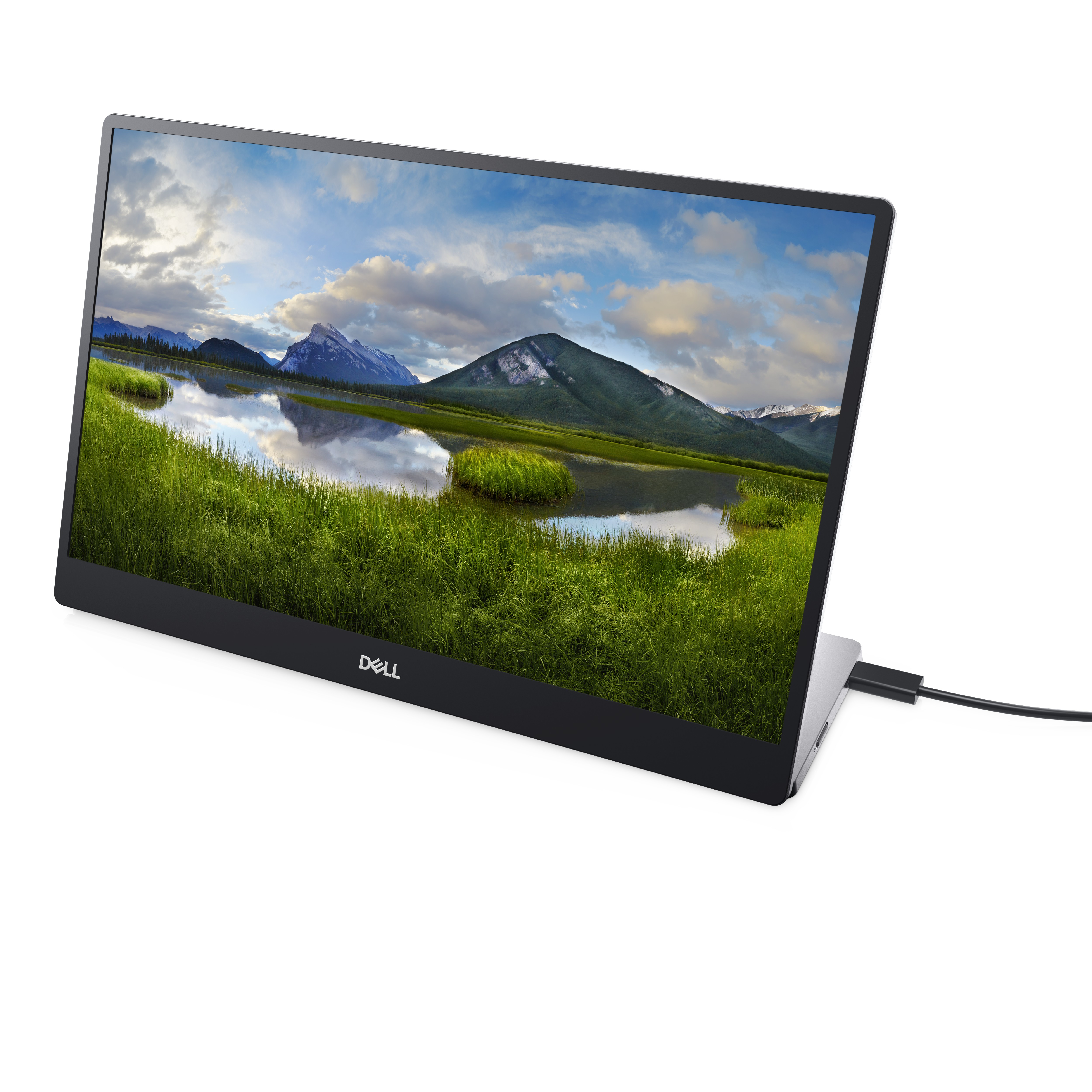 Dell P1424H - LED-Monitor - 35.56 cm (14") - tragbar - 1920 x 1080 Full HD (1080p)