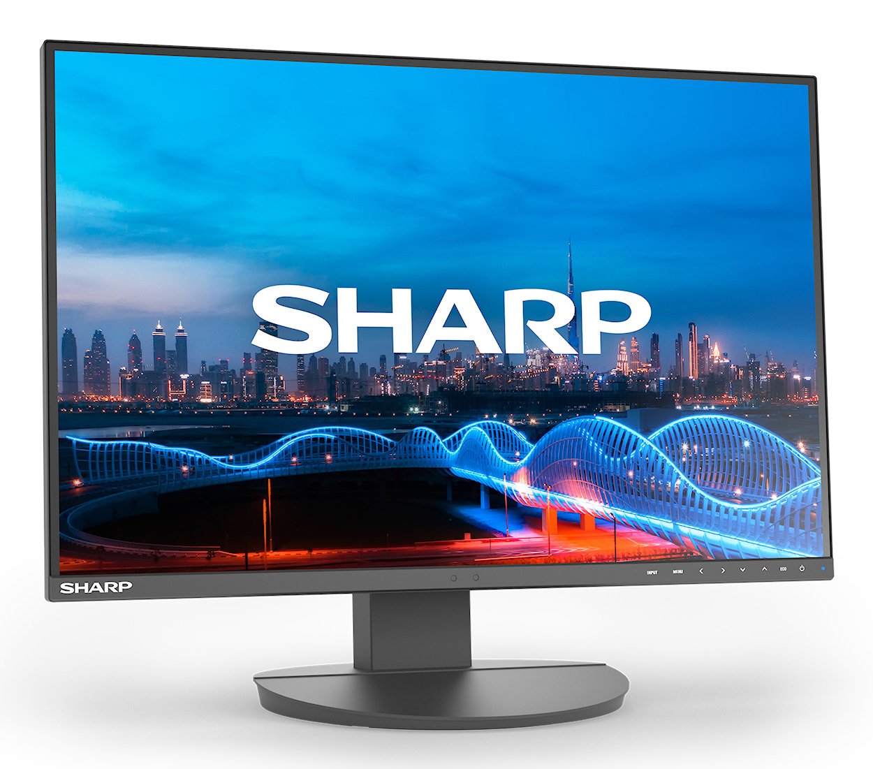 Sharp MultiSync EA241W - LED-Monitor - 61 cm (24")