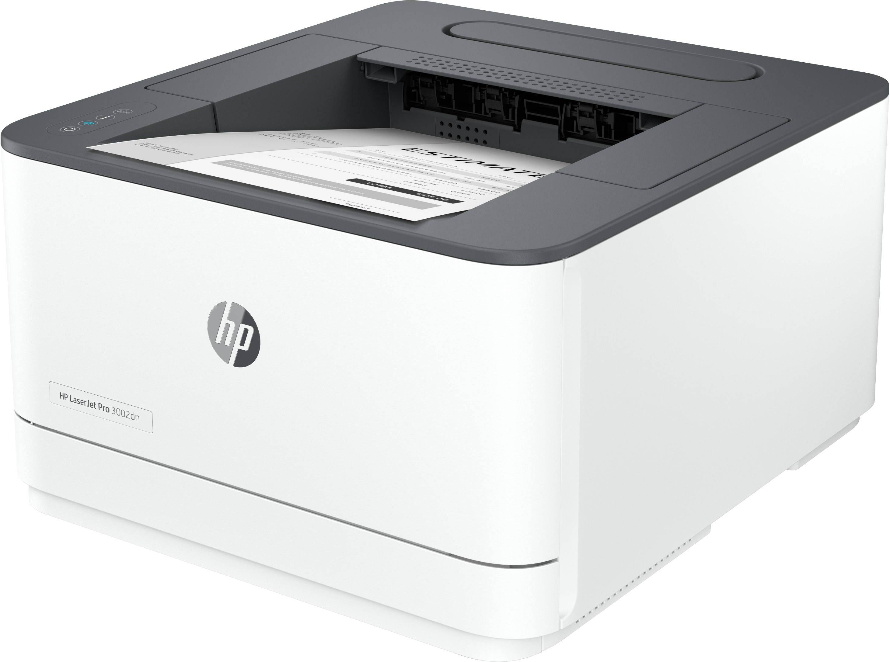 HP LaserJet Pro 3002dn - Drucker - s/w - Duplex