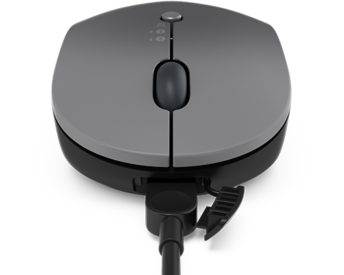Lenovo Go Multi-device - Maus - optisch blau