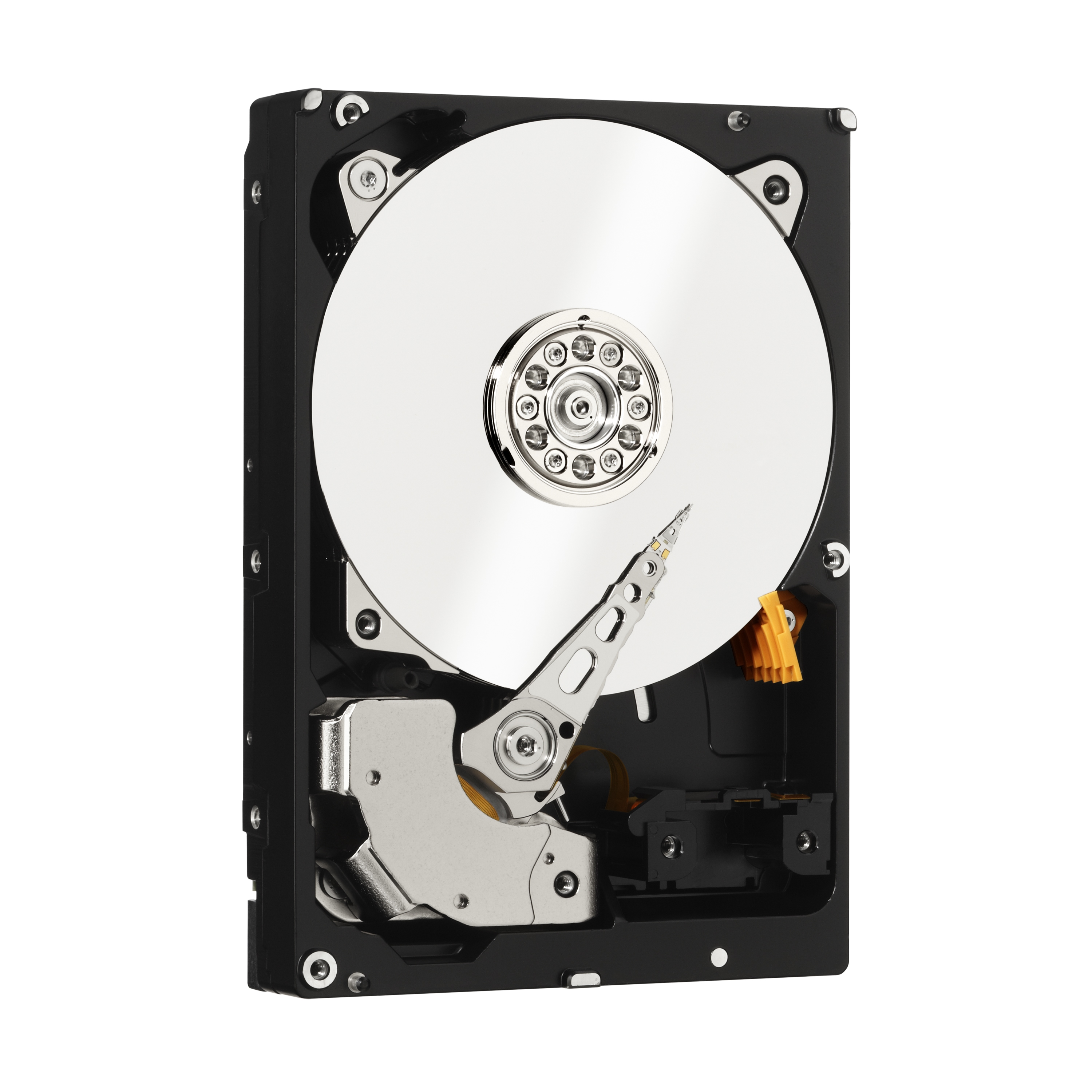 WD RE WD5003ABYZ - Festplatte - 500 GB - intern - 3.5" (8.9 cm)