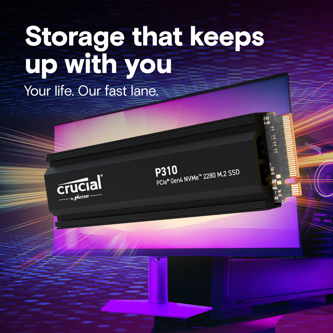 Crucial P310 - SSD - 4 TB - intern - M.2 2280 - PCIe 4.0 x4 (NVMe)