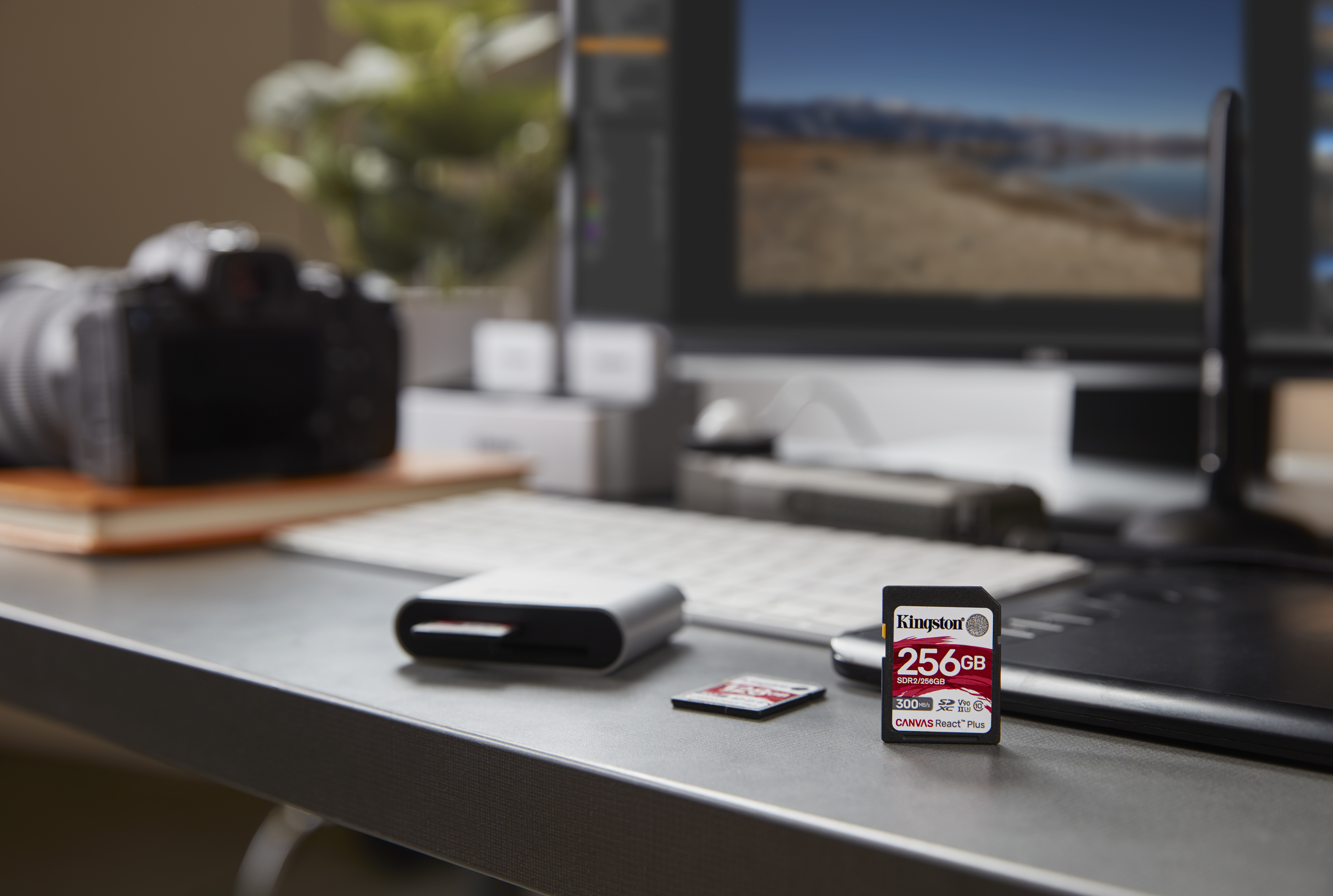 Kingston Canvas React Plus - Flash-Speicherkarte