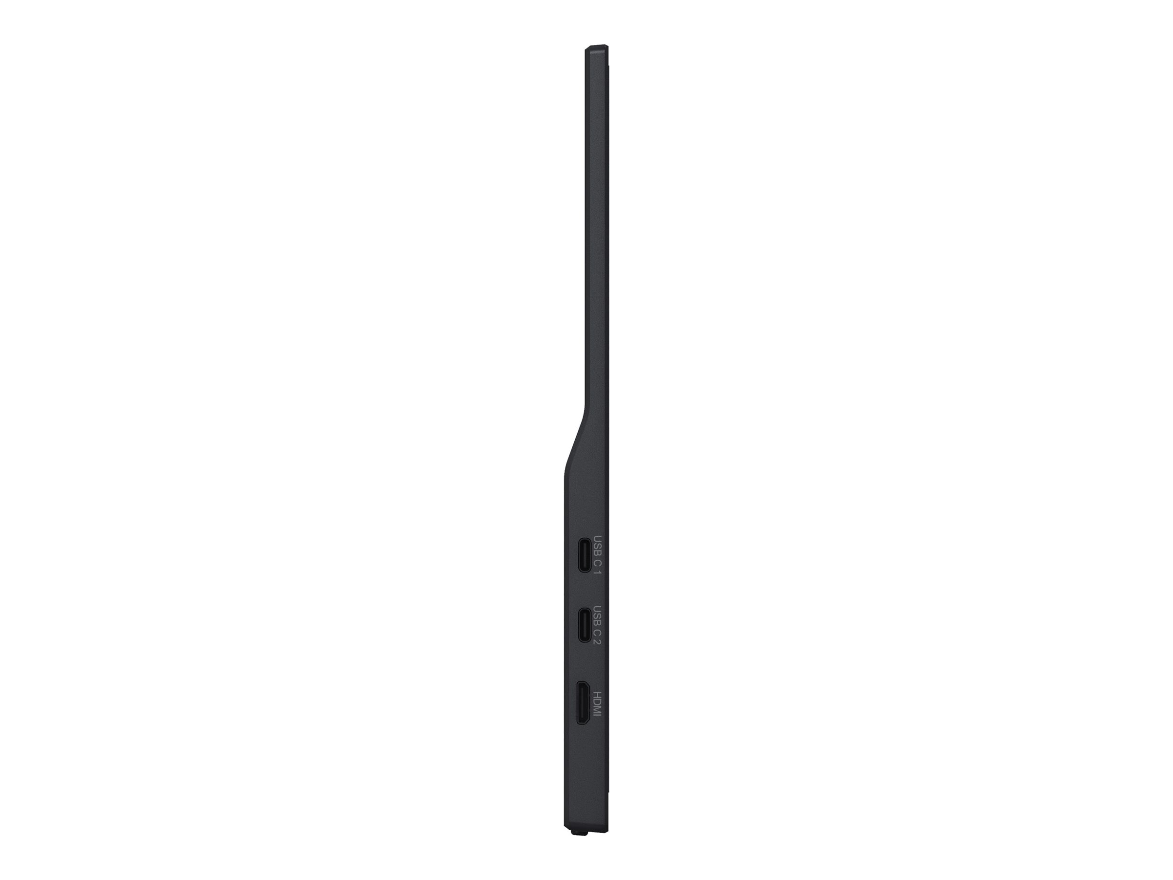 Iiyama ProLite P1671HSC-B1 - LED-Monitor - 39.6 cm (15.6")