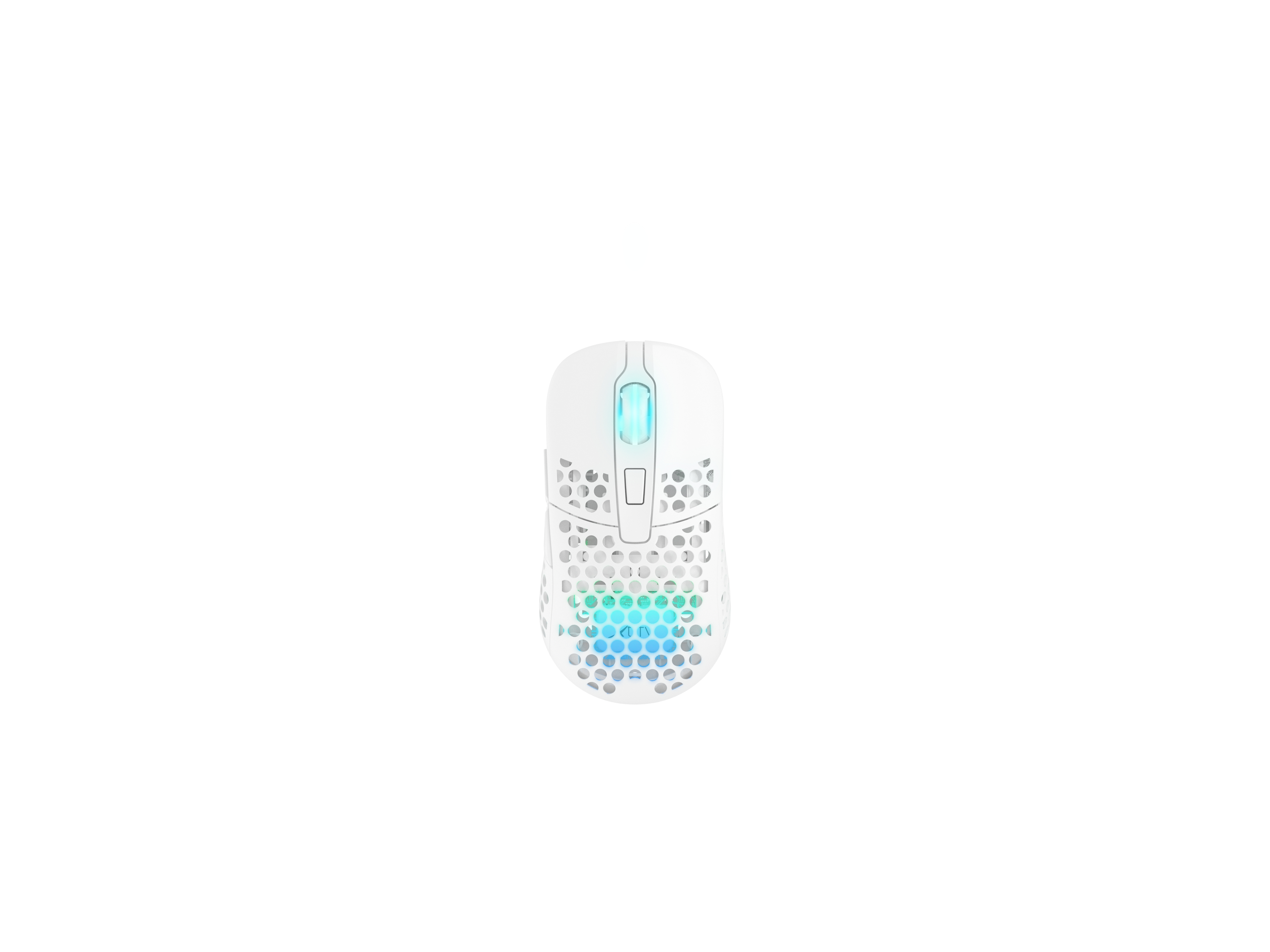 Cherry Xtrfy M42 - Maus - optisch - kabellos - 2.4 GHz - kabelloser Empfänger (USB)