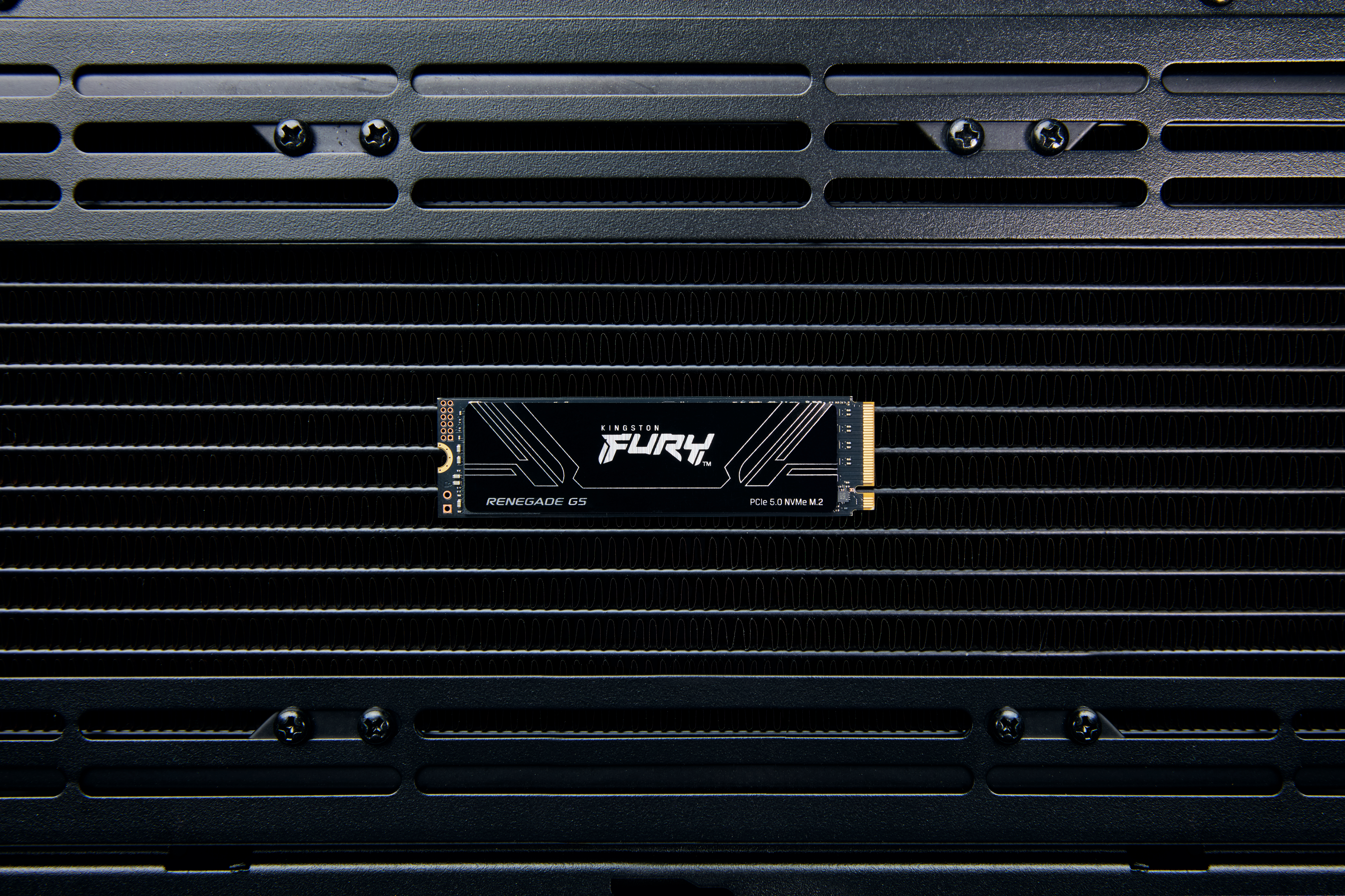 Kingston FURY Renegade G5 - SSD - 8 TB - intern - M.2 2280 - PCI Express 5.0 x4 (NVMe)