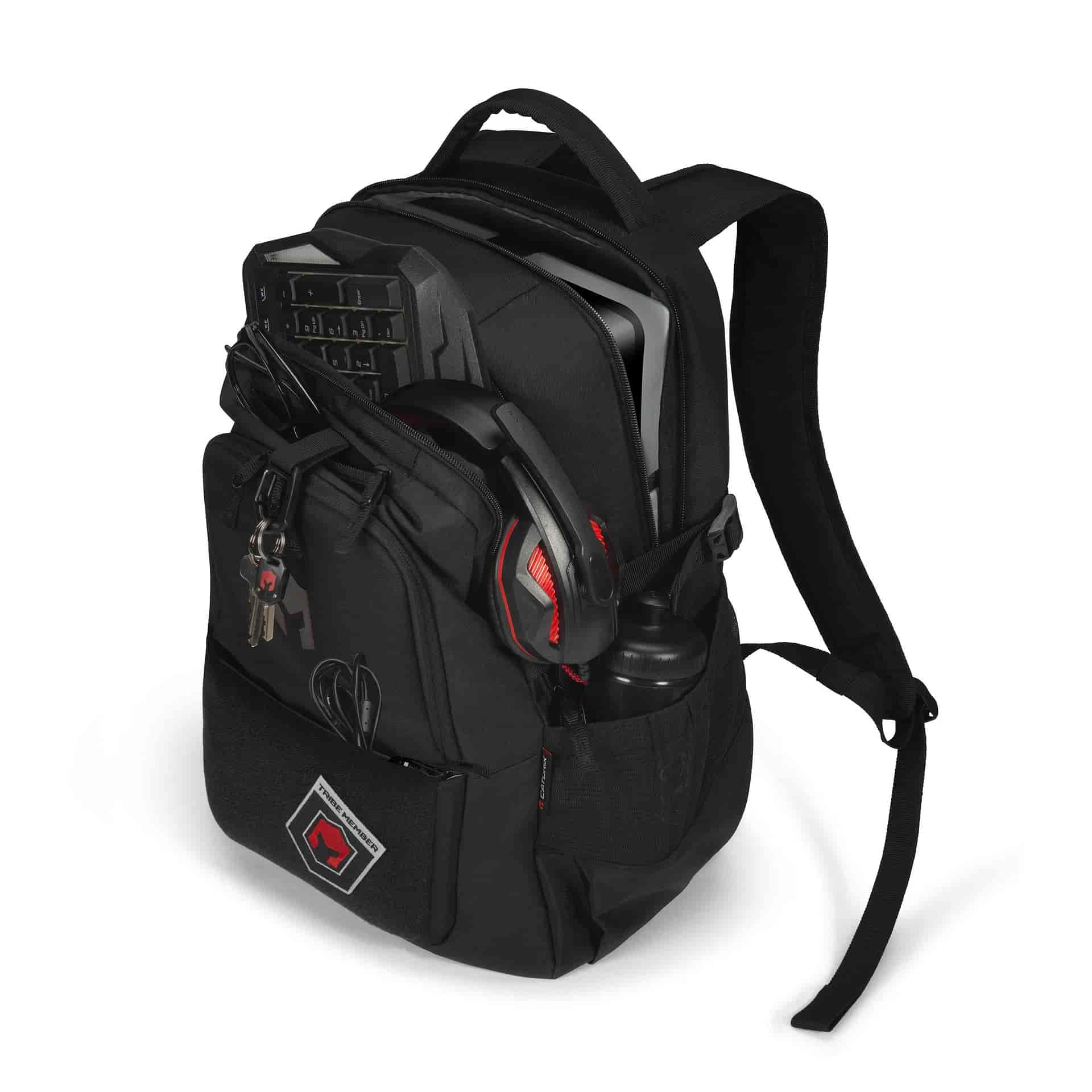 Dicota Caturix Forza - Notebook-Rucksack - 43.9 cm (17.3")