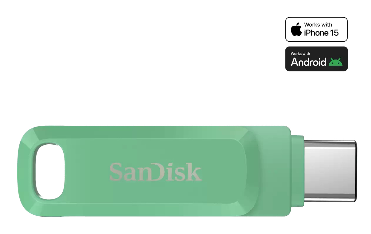 SanDisk Ultra Dual Drive Go - USB-Flash-Laufwerk