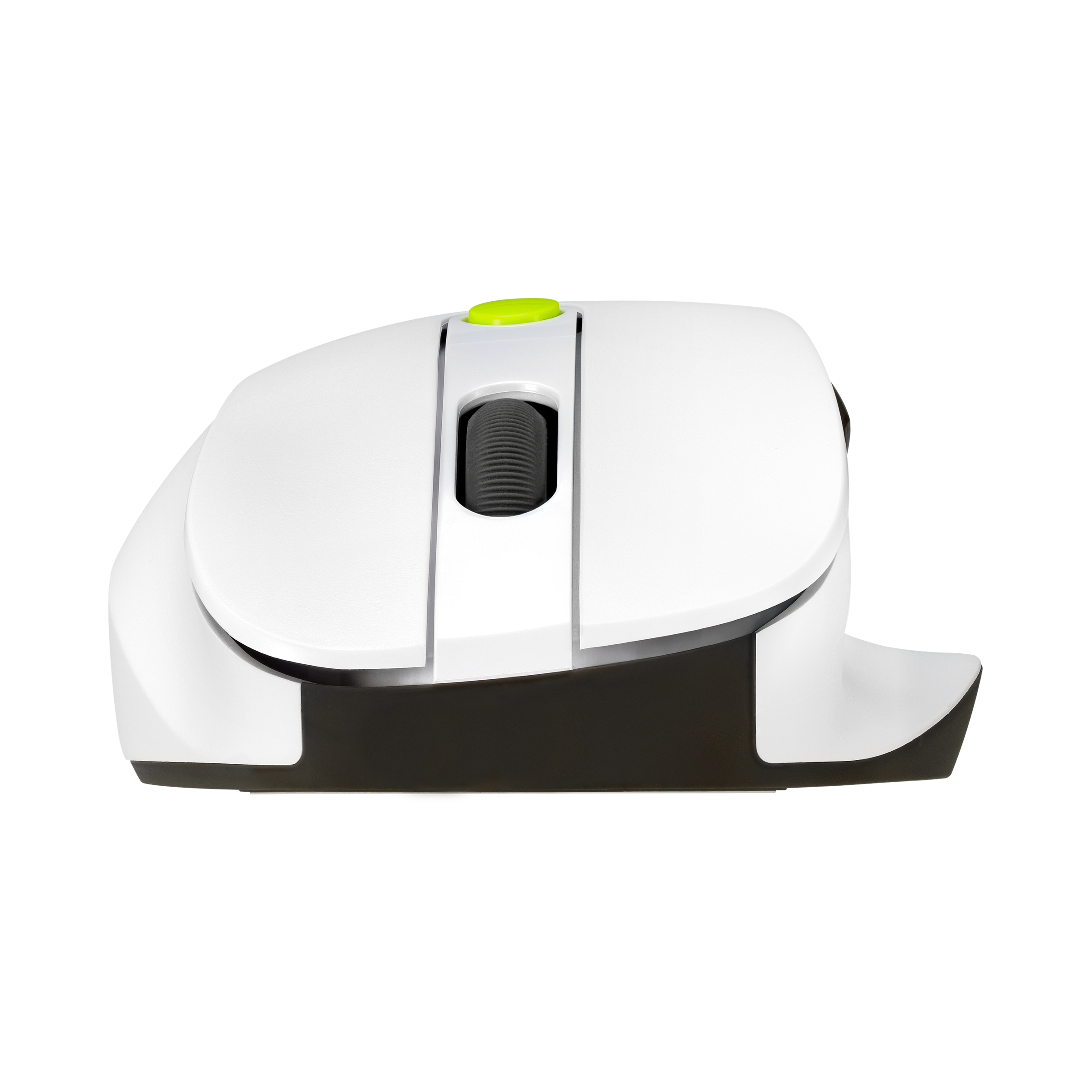 ASUS MD105 - Maus - optisch - 5 Tasten - kabellos