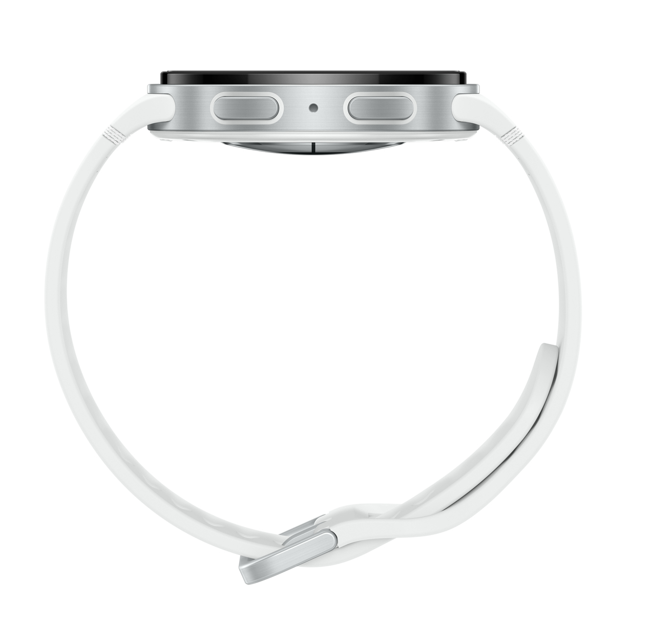 Samsung Galaxy Watch8 - 44 mm - silber - intelligente Uhr mit Sportband - Gummi - weiß - Bandgröße: