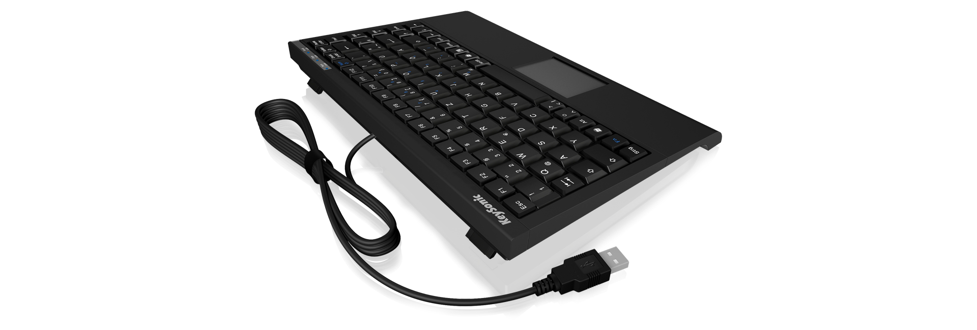 KeySonic ACK-595 C+ - Tastatur - PS/2, USB - USA