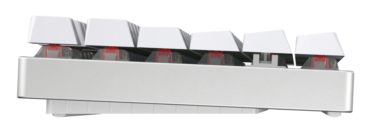 Cherry MX 8.2 - XAGA Edition - Tastatur - 80%