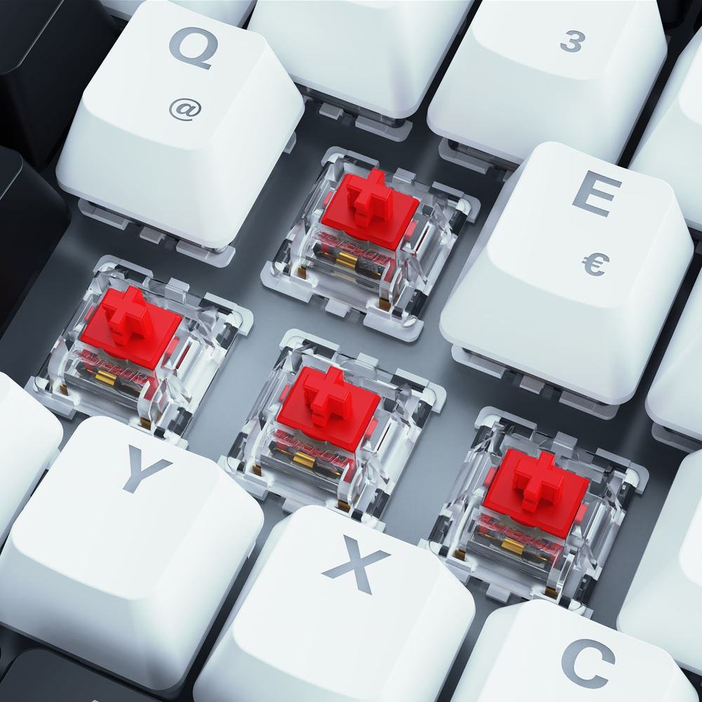 Sharkoon SKILLER SGK50 S3 - Tastatur - 75% - Hintergrundbeleuchtung - USB - QWERTZ - Deutsch - Taste