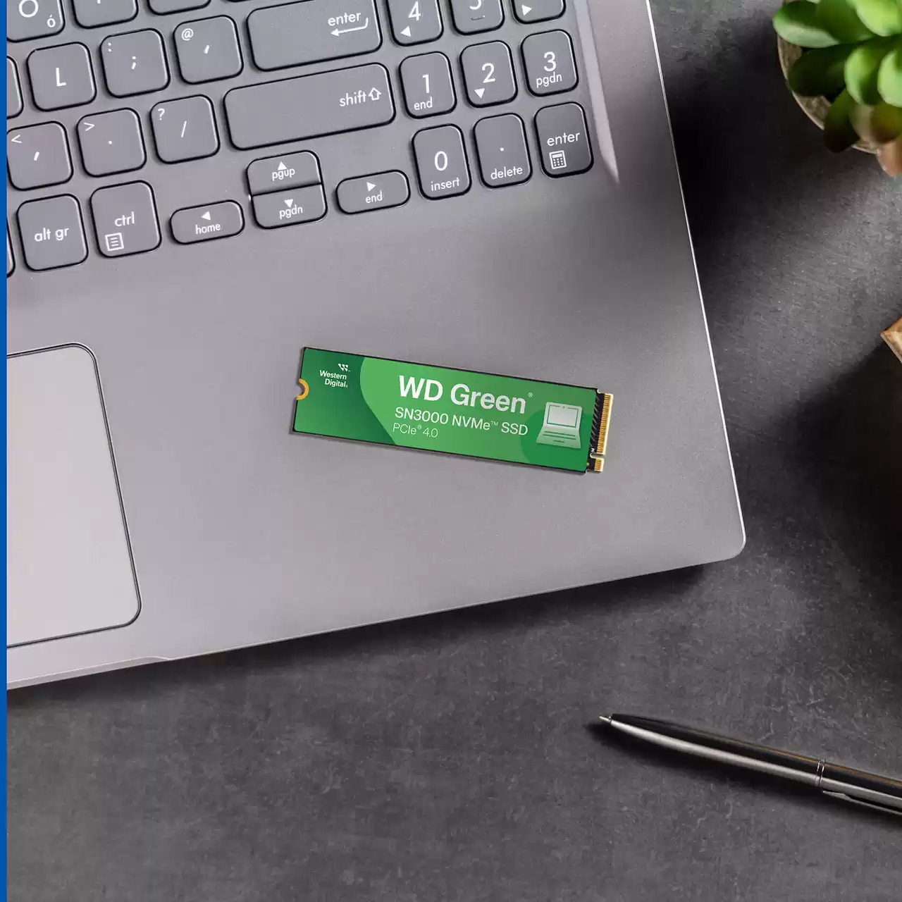 Western Digital WD Green SN3000 NVMe SSD 2TB, M.2 2280 / M-Key / PCIe 4.0 x4