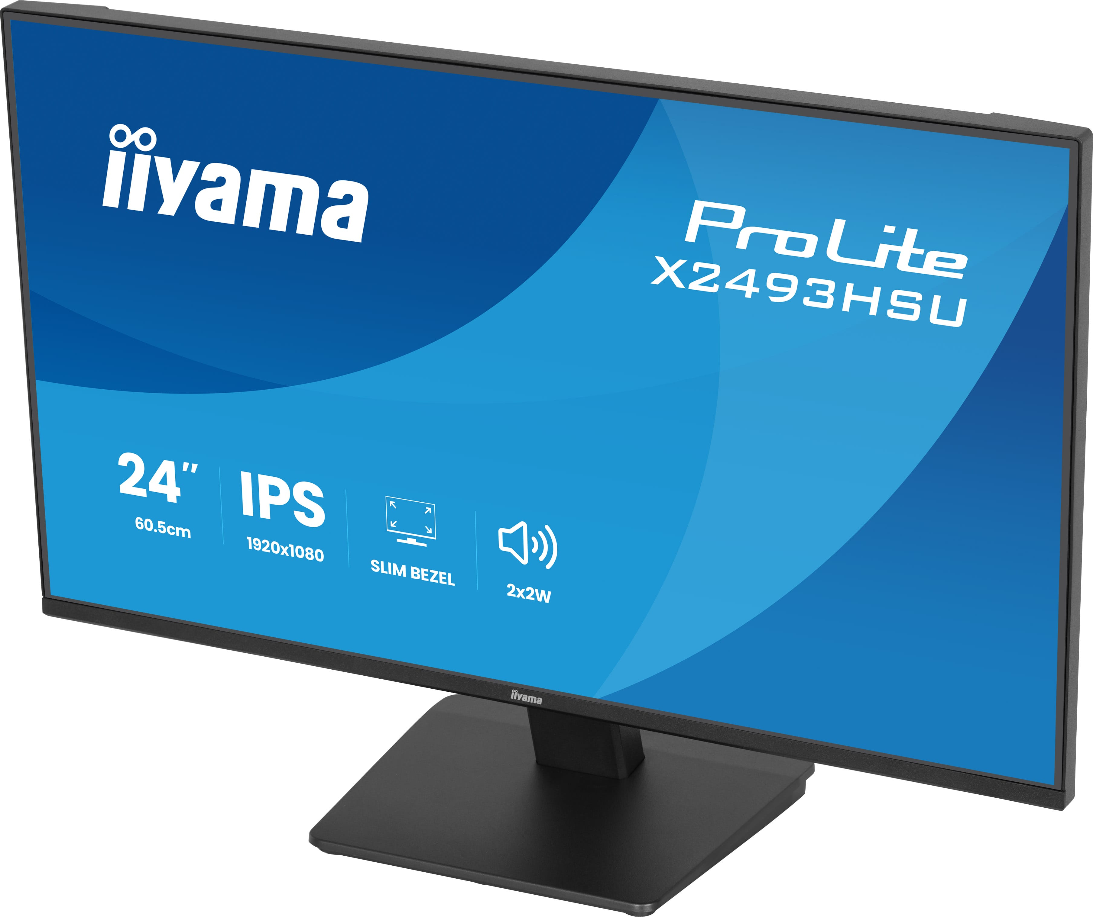 Iiyama ProLite X2493HSU-B1 - LED-Monitor - 61 cm (24")