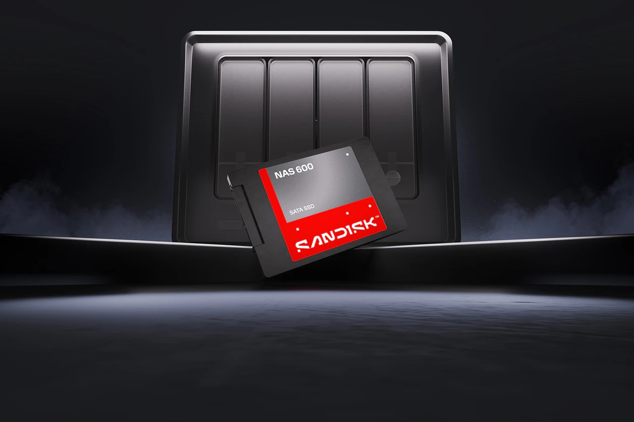 SanDisk NAS 600 - SSD - 500 GB - intern - 2.5" (6.4 cm)