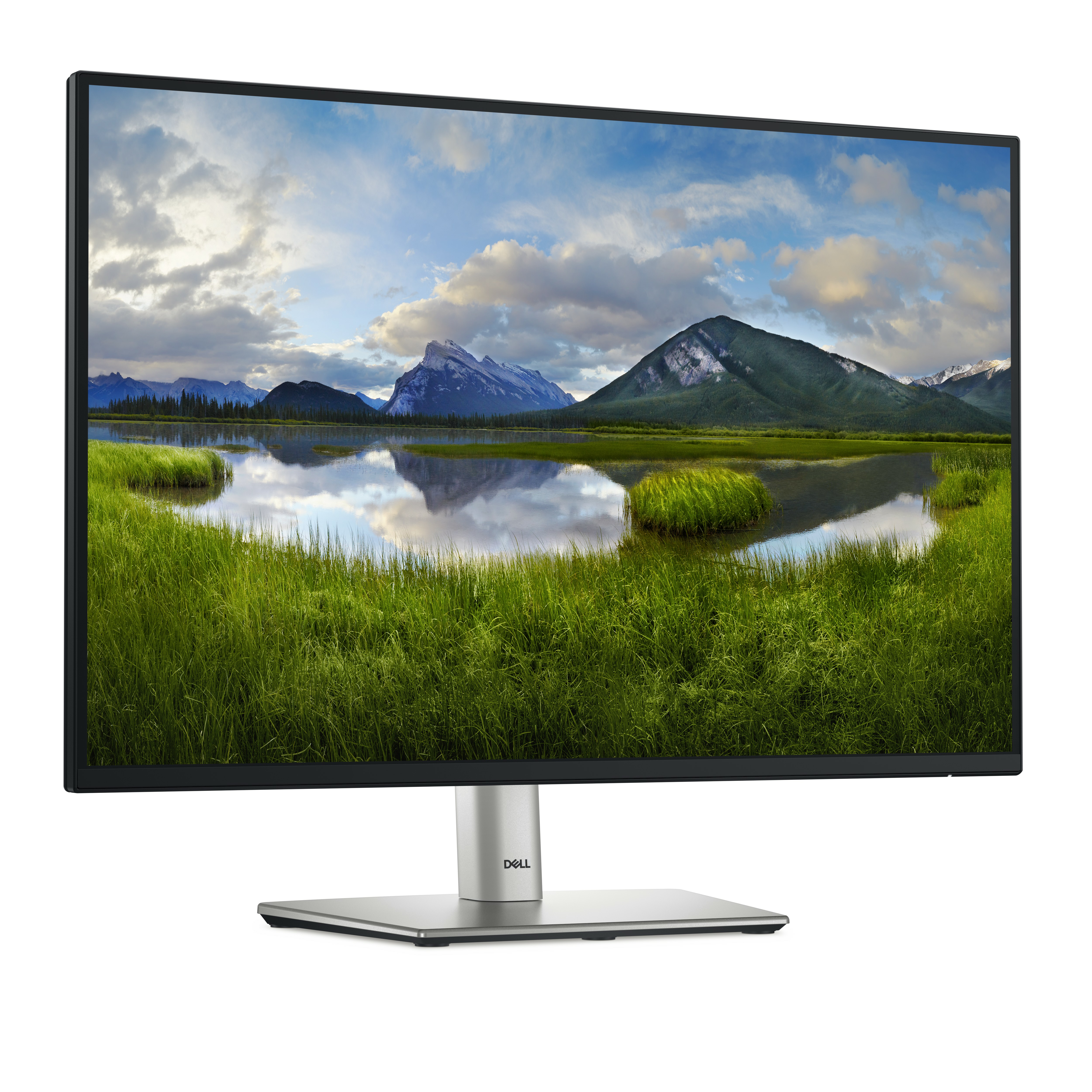 Dell P2425 Monitor 61.1cm (24.07") WUXGA, IPS, 8ms, HDMI, Displayport, VGA, USB