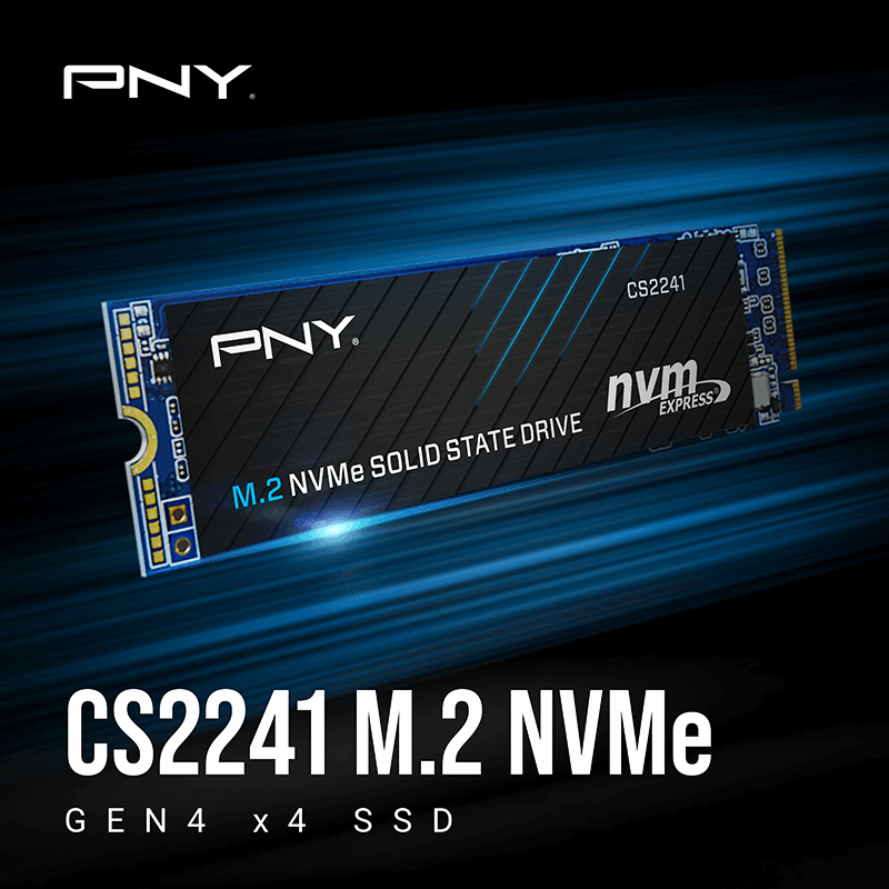 PNY M280CS2241-2TB-RB, 2 TB, M.2, 5000 MB/s