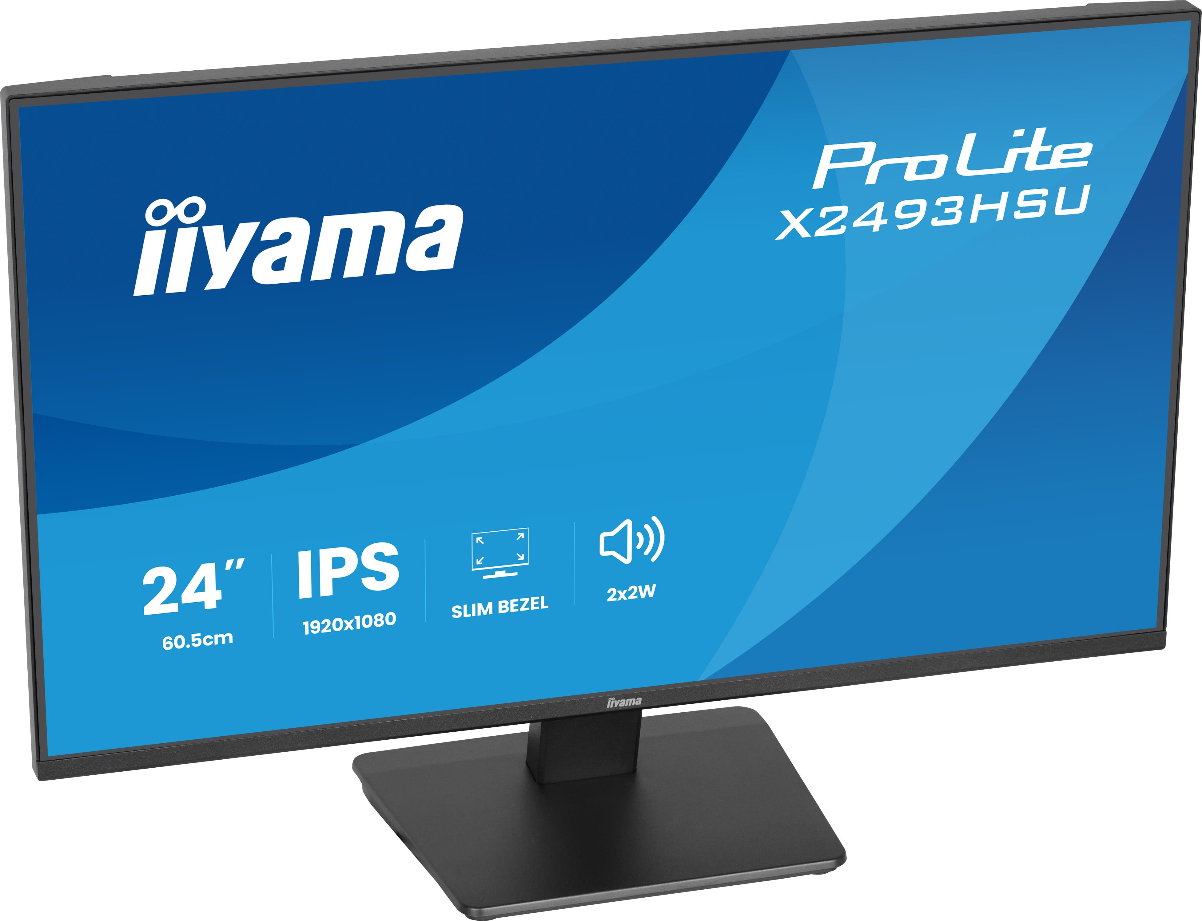 Iiyama ProLite X2493HSU-B1 - LED-Monitor - 61 cm (24")
