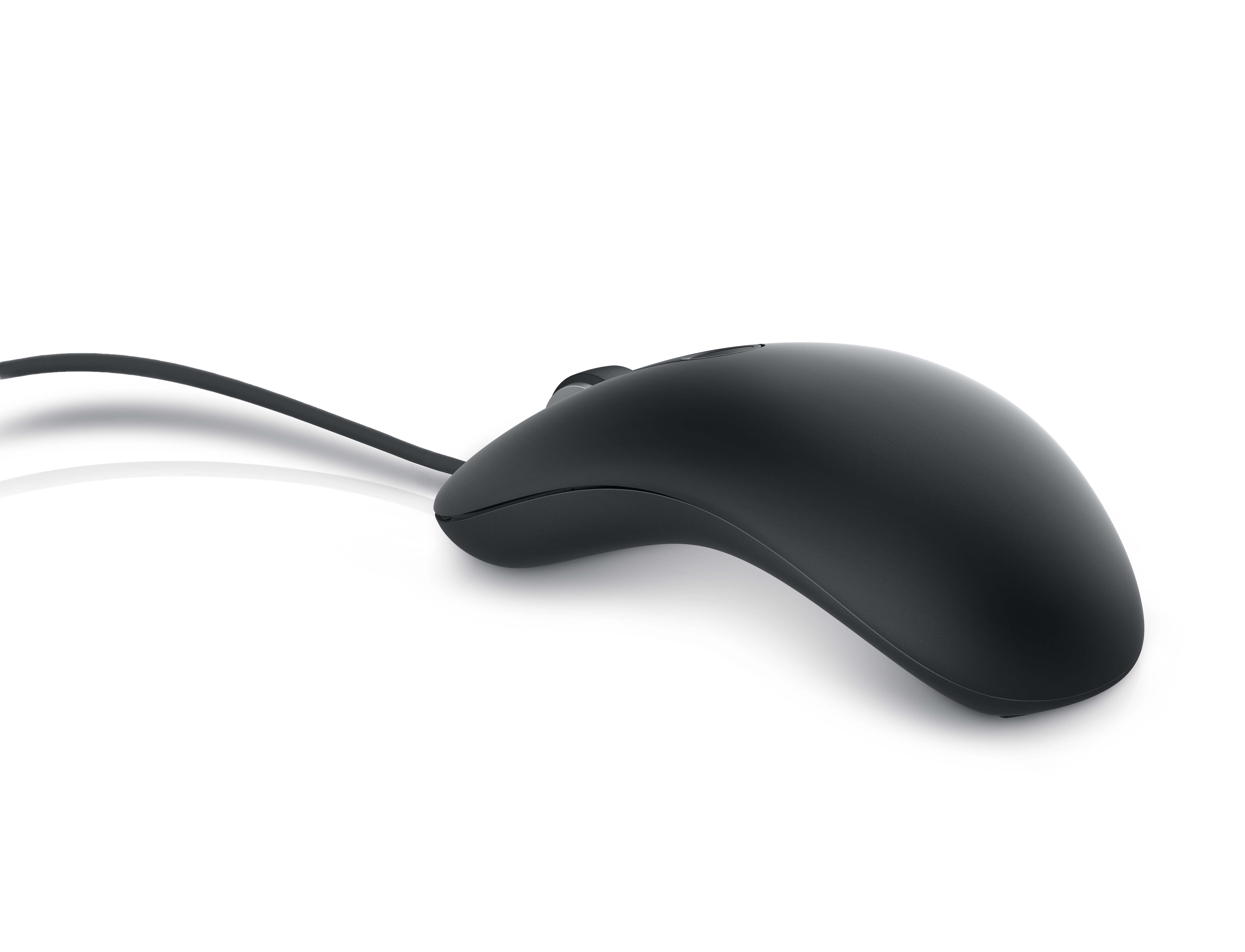 Dell MS819, Beidhändig, Optisch, USB Typ-A, 1000 DPI, Schwarz