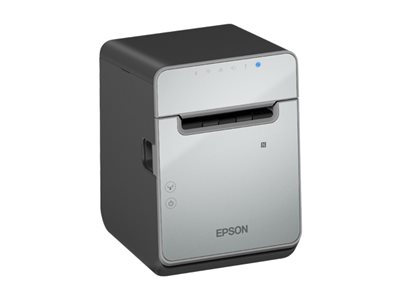Epson TM L100 (103A0) - Belegdrucker - Thermozeile - Rolle (7,95 cm)