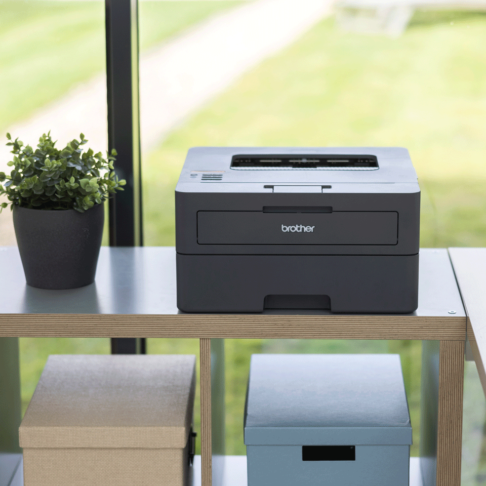 Brother HL-L2445DW - Drucker - s/w - Duplex