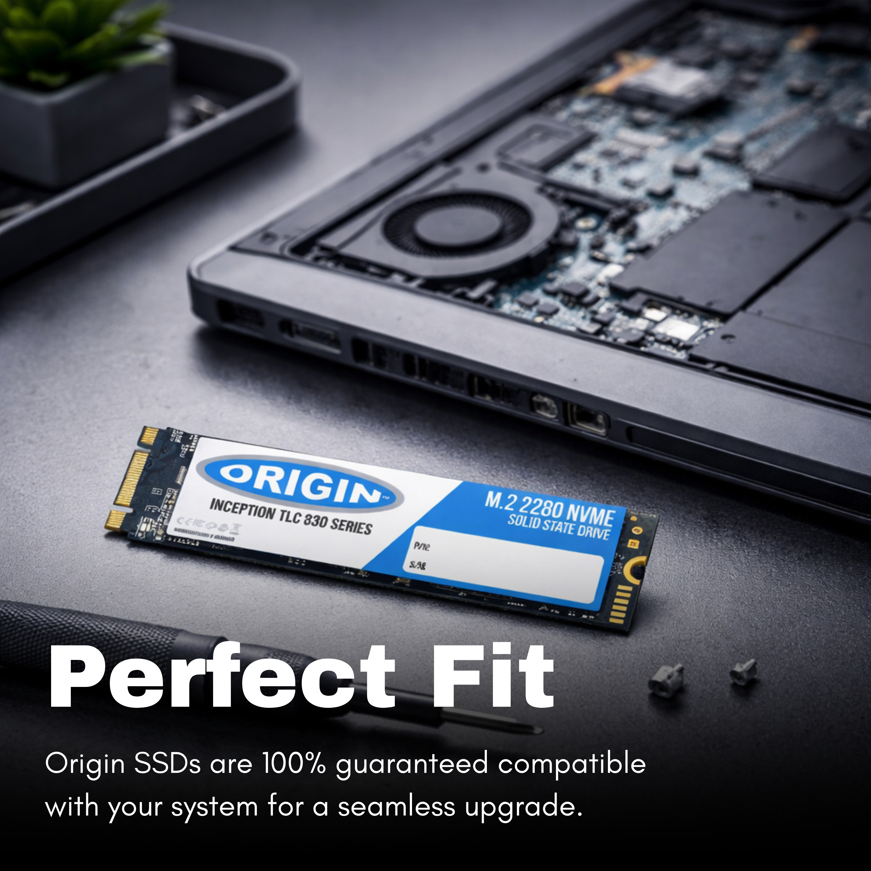 Origin Storage SSD - 4 TB - intern - M.2 2280 - PCIe 3.1 (NVMe)