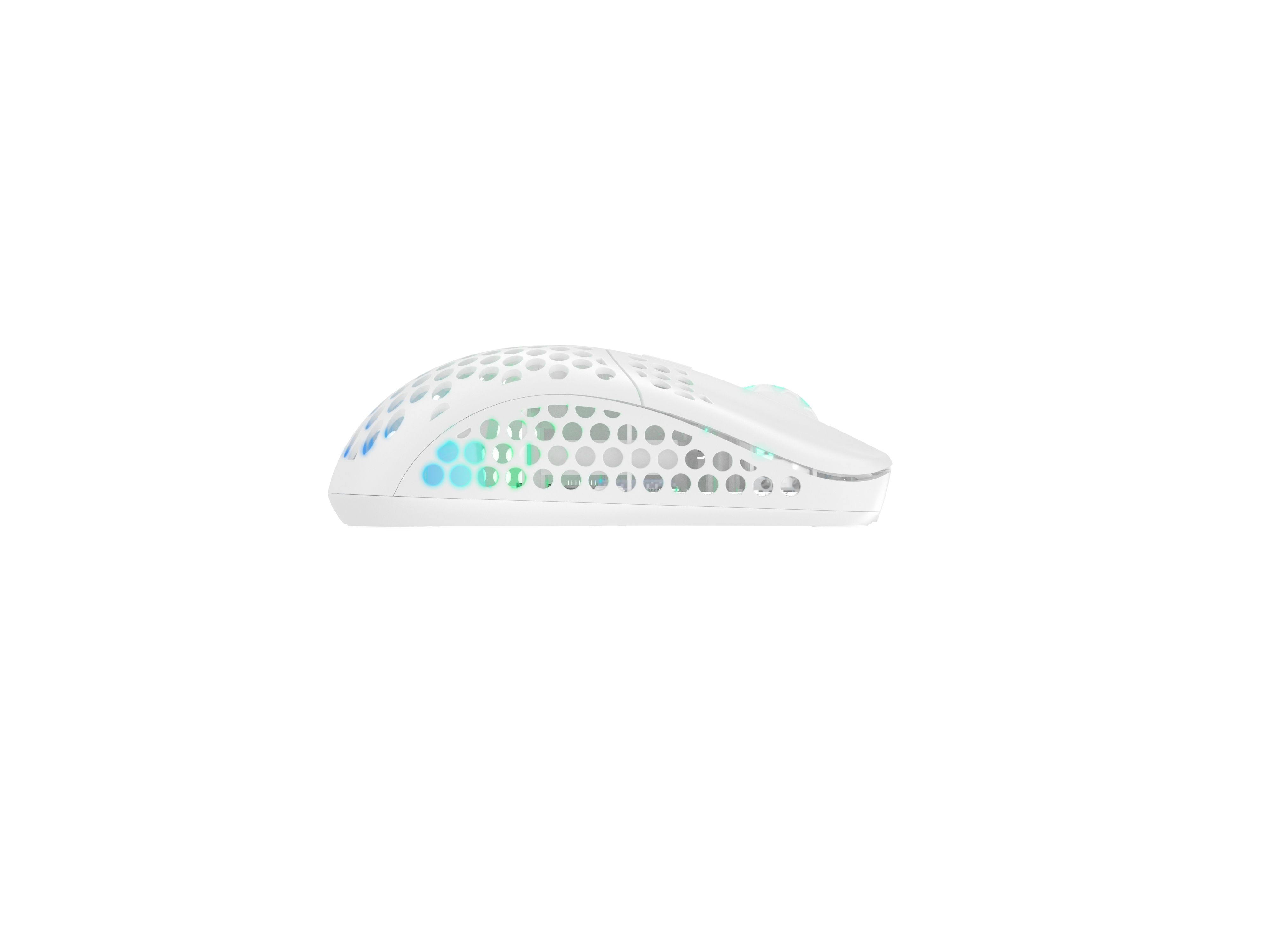 Cherry Xtrfy M42 - Maus - optisch - kabellos - 2.4 GHz - kabelloser Empfänger (USB)