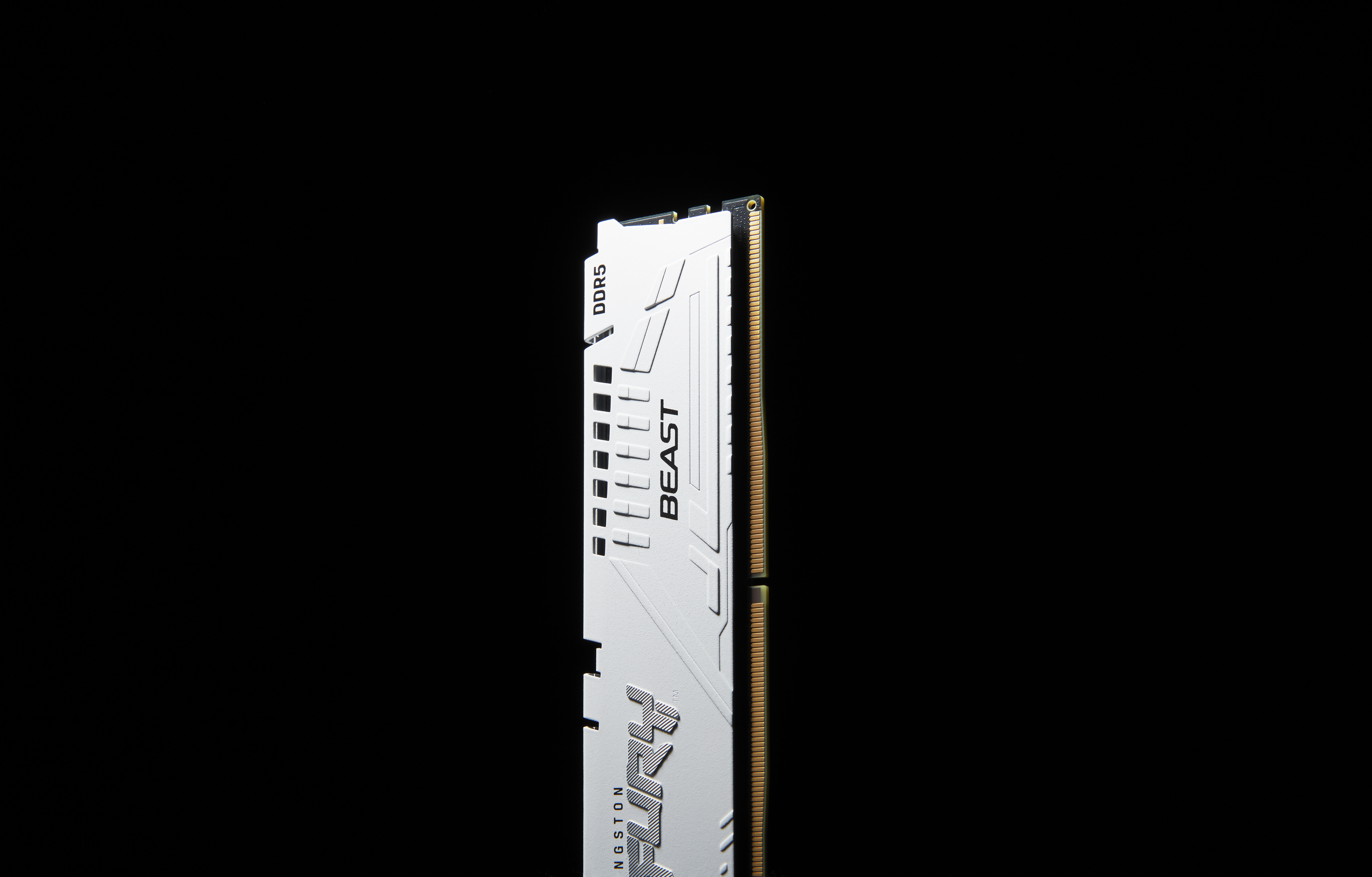 Kingston FURY Beast weiß UDIMM 16GB, DDR5-5200, CL40-40-40, 1RX8