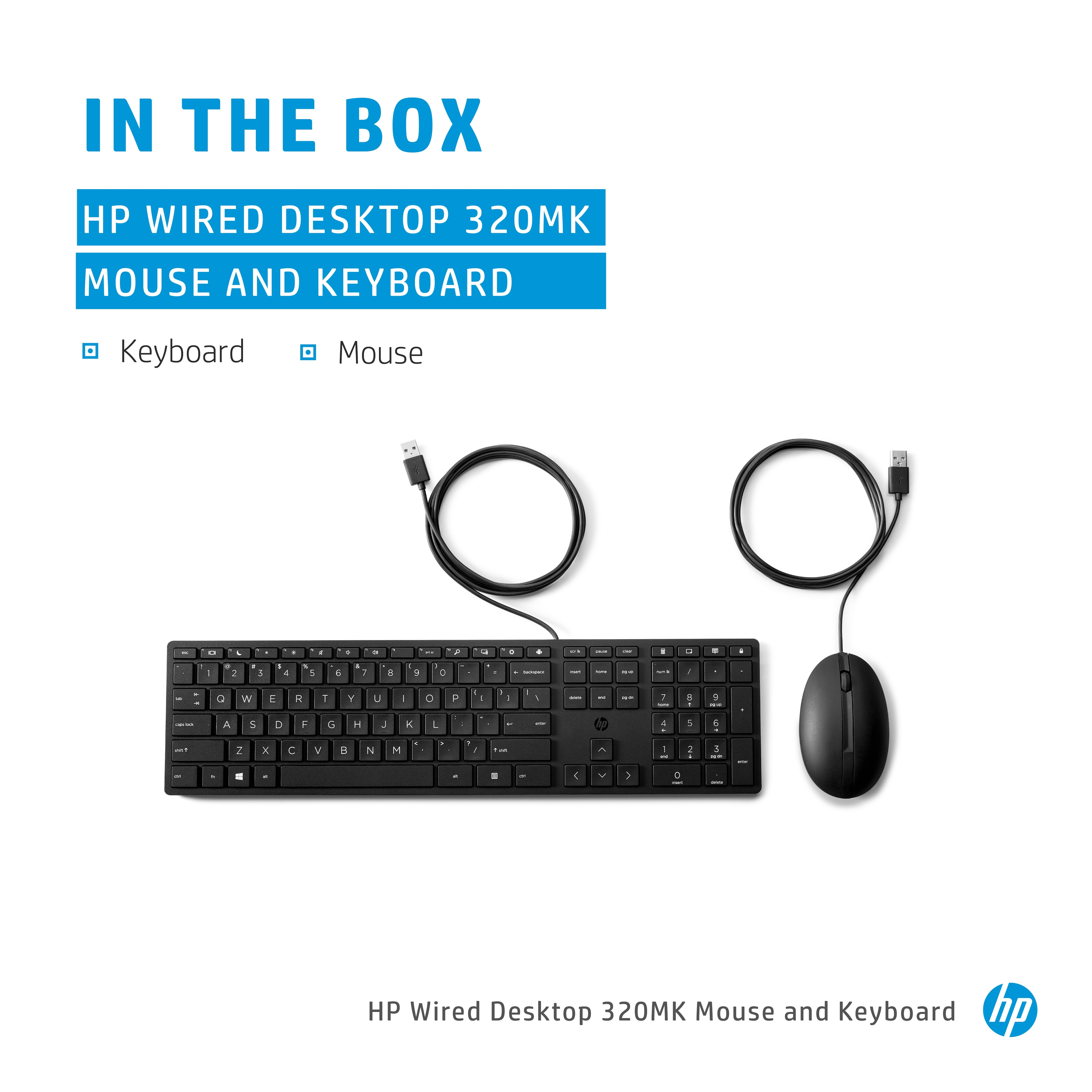HP Wired Desktop 320MK Maus und Tastatur, Volle Größe (100%), Kabelgebunden, USB, Schwarz, Maus enth