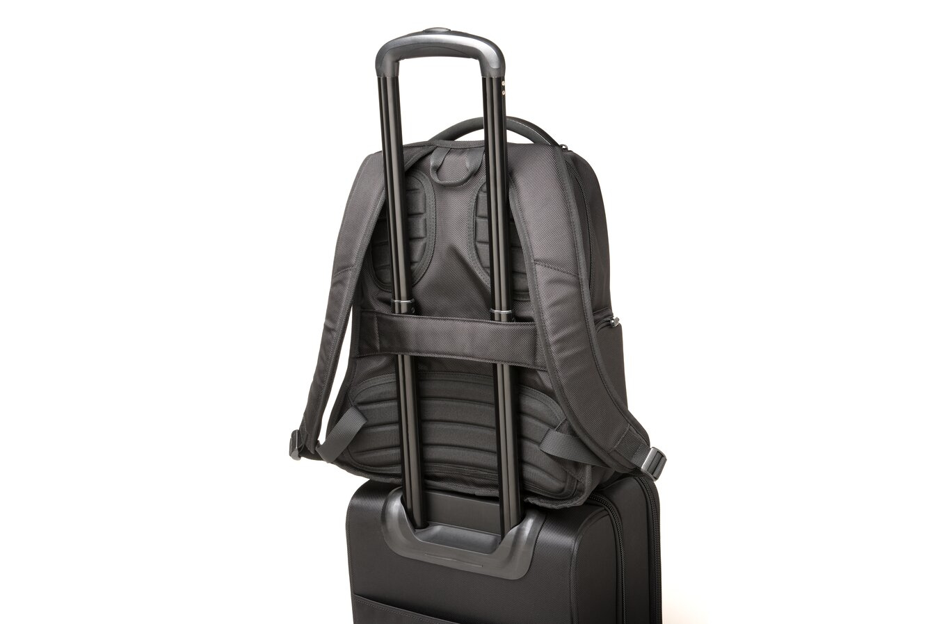 Kensington Contour 2.0 Executive - Notebook-Rucksack - 35.6 cm (14")