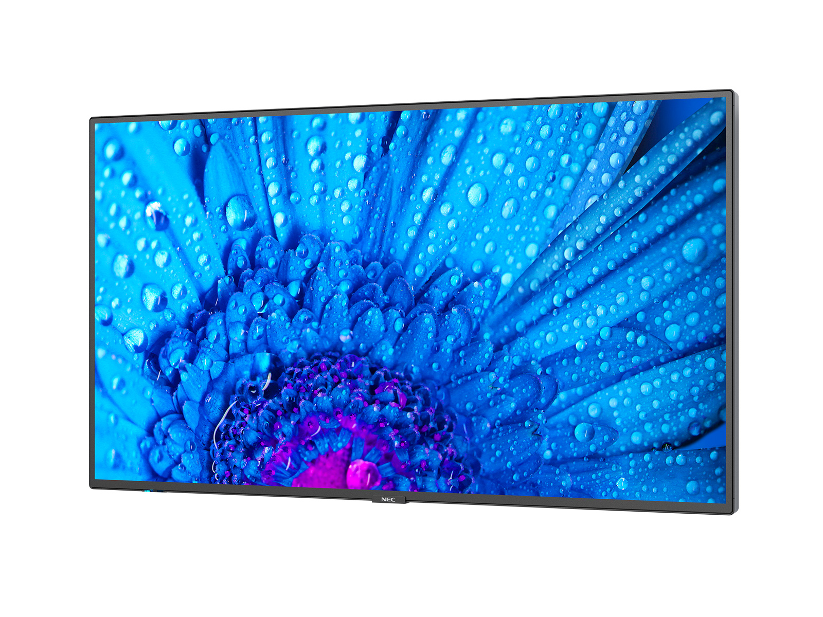 NEC Display MultiSync M491, Digital Signage Flachbildschirm, 124,5 cm (49"), IPS, 3840 x 2160 Pixel,