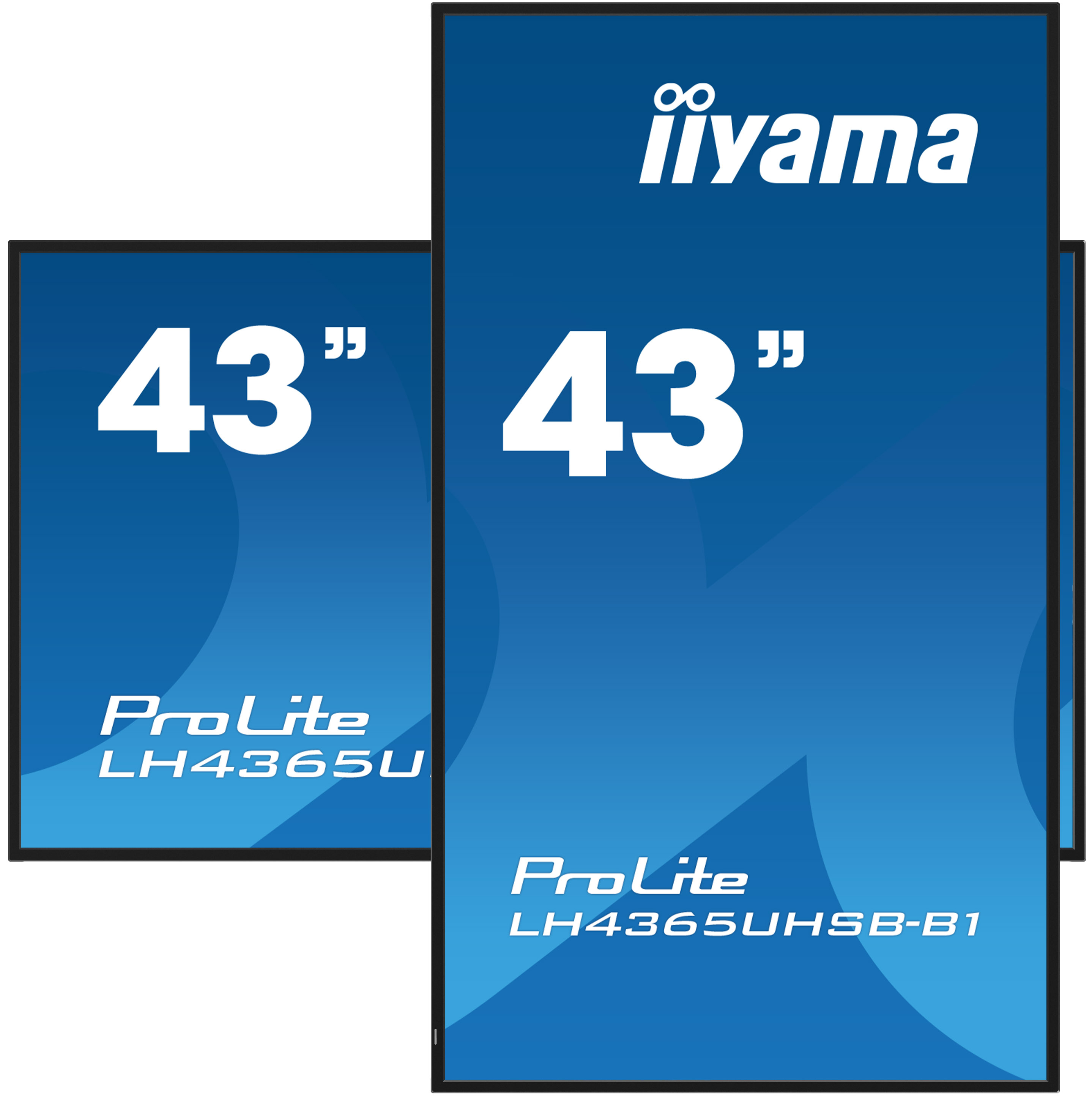 Iiyama ProLite LH4365UHSB-B1 - 109 cm (43") Diagonalklasse (108 cm (42.5")