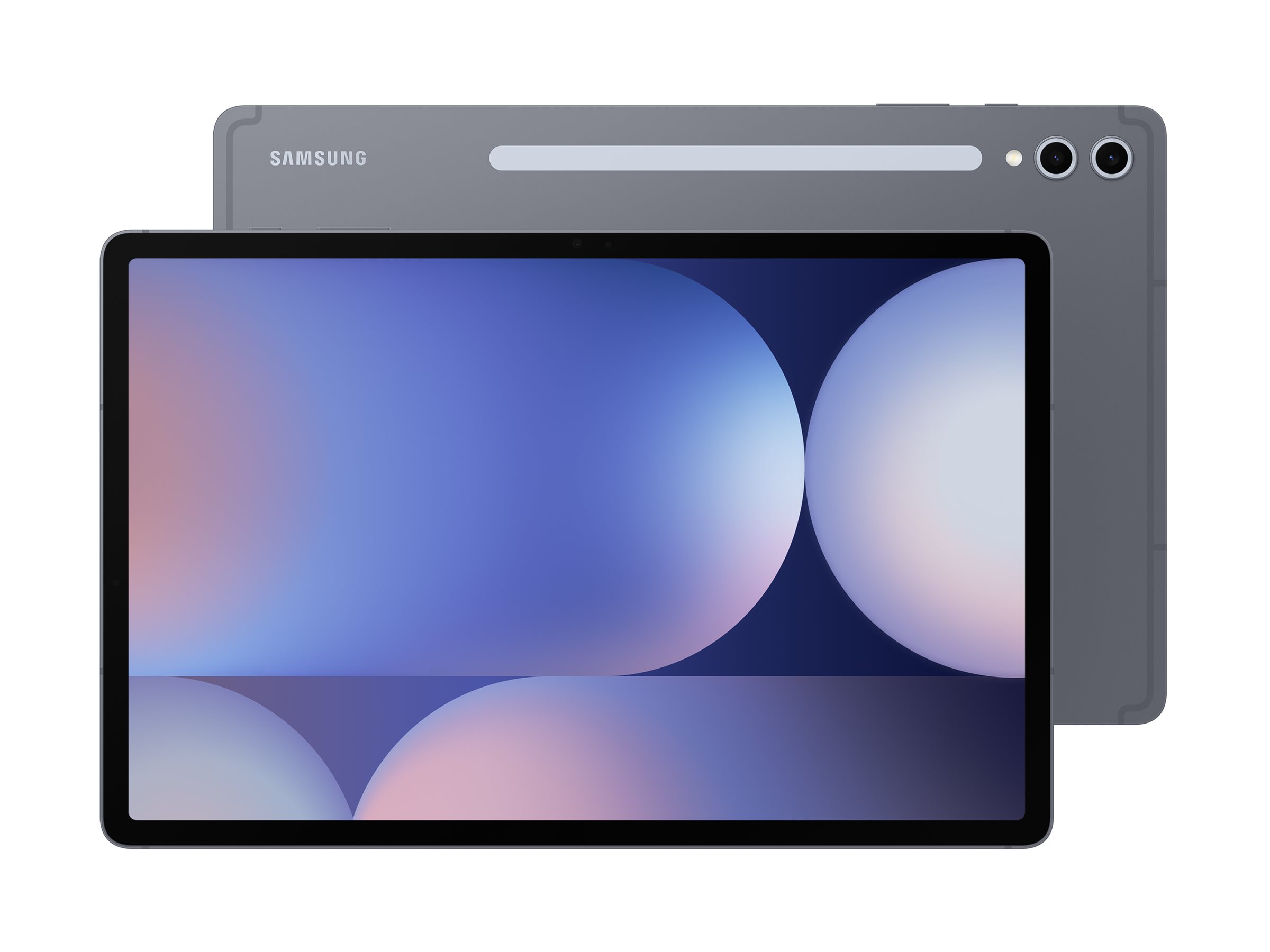 Samsung Galaxy Tab S10+ X820, Moonstone Gray, 12GB RAM, 256GB Flash