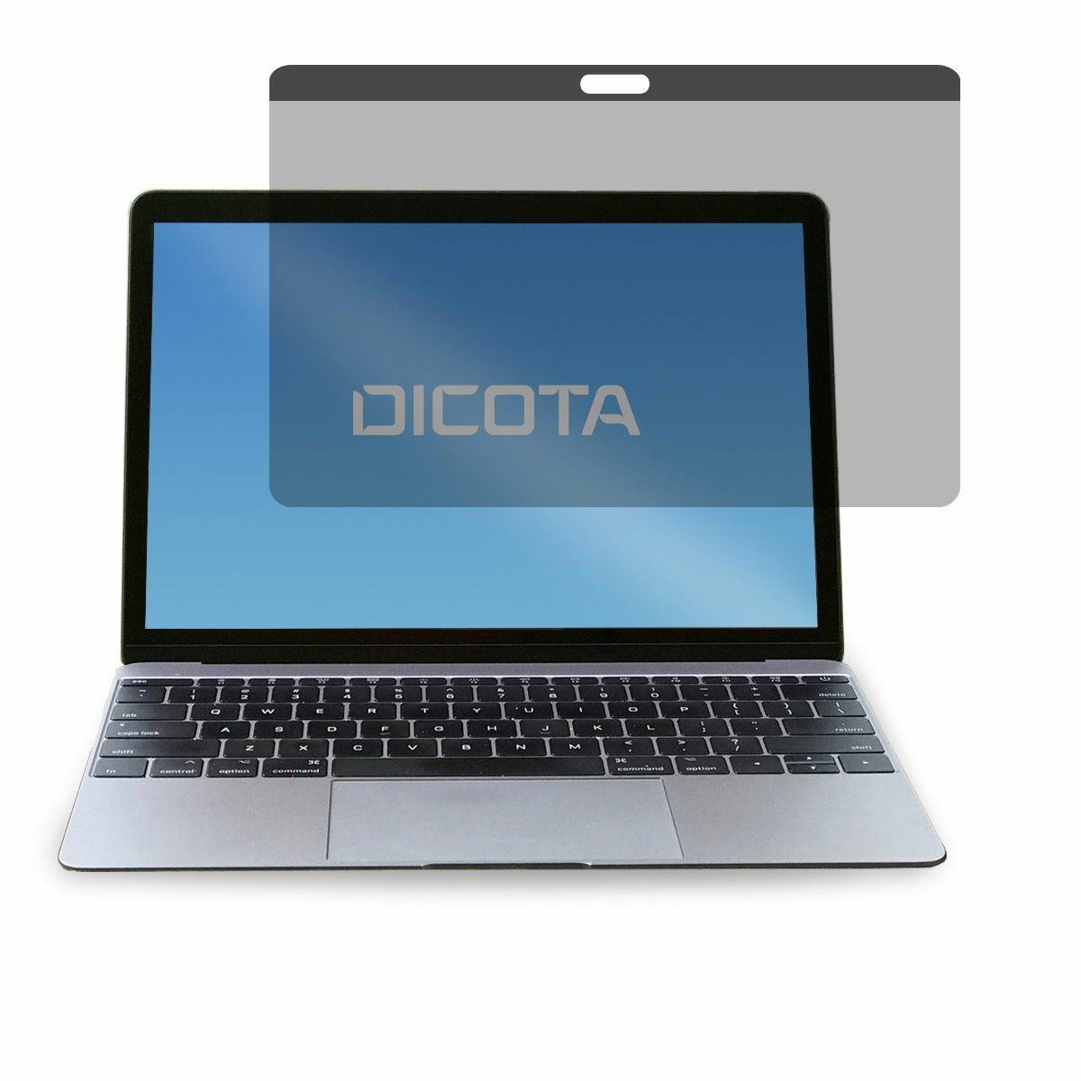 Dicota Secret - Blickschutzfilter für Notebook - 2-Wege - abnehmbar - magnetisch - 30.5 cm (12")